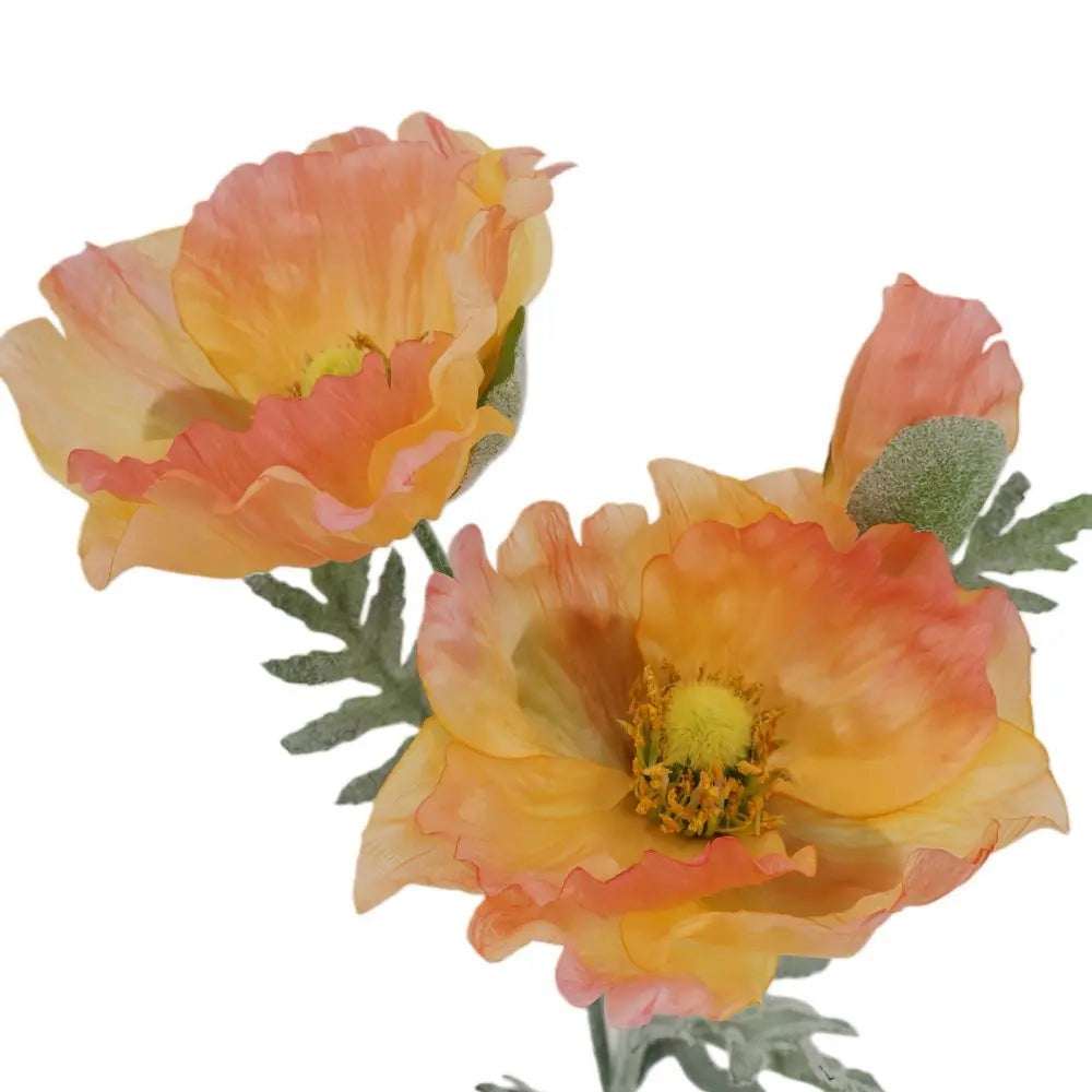 31" Artificial Apricot Poppy Stems, Set of 5