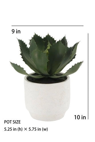 Artificial Succulent Plant Set in Stone Pots, 2-Pack