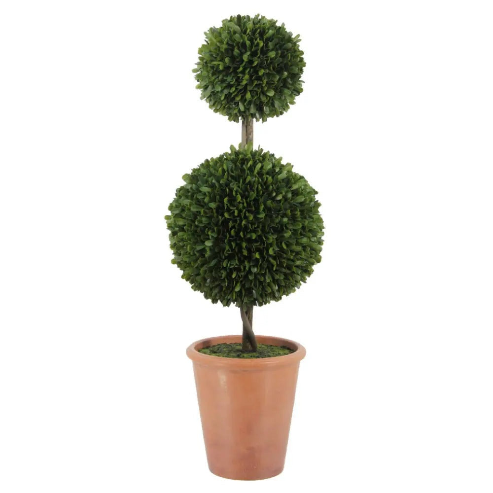 36" Double Boxwood Topiary in Pot