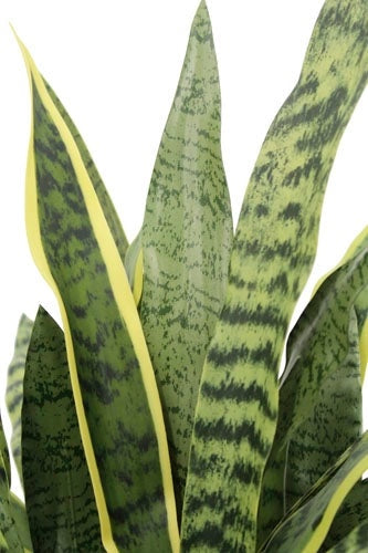 30" Artificial Snake Plants in Black Pots, Set of 2