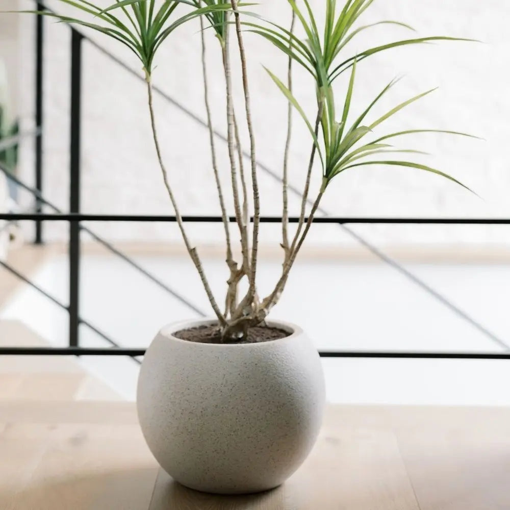 4' Artificial Dracaena Tree in Pot