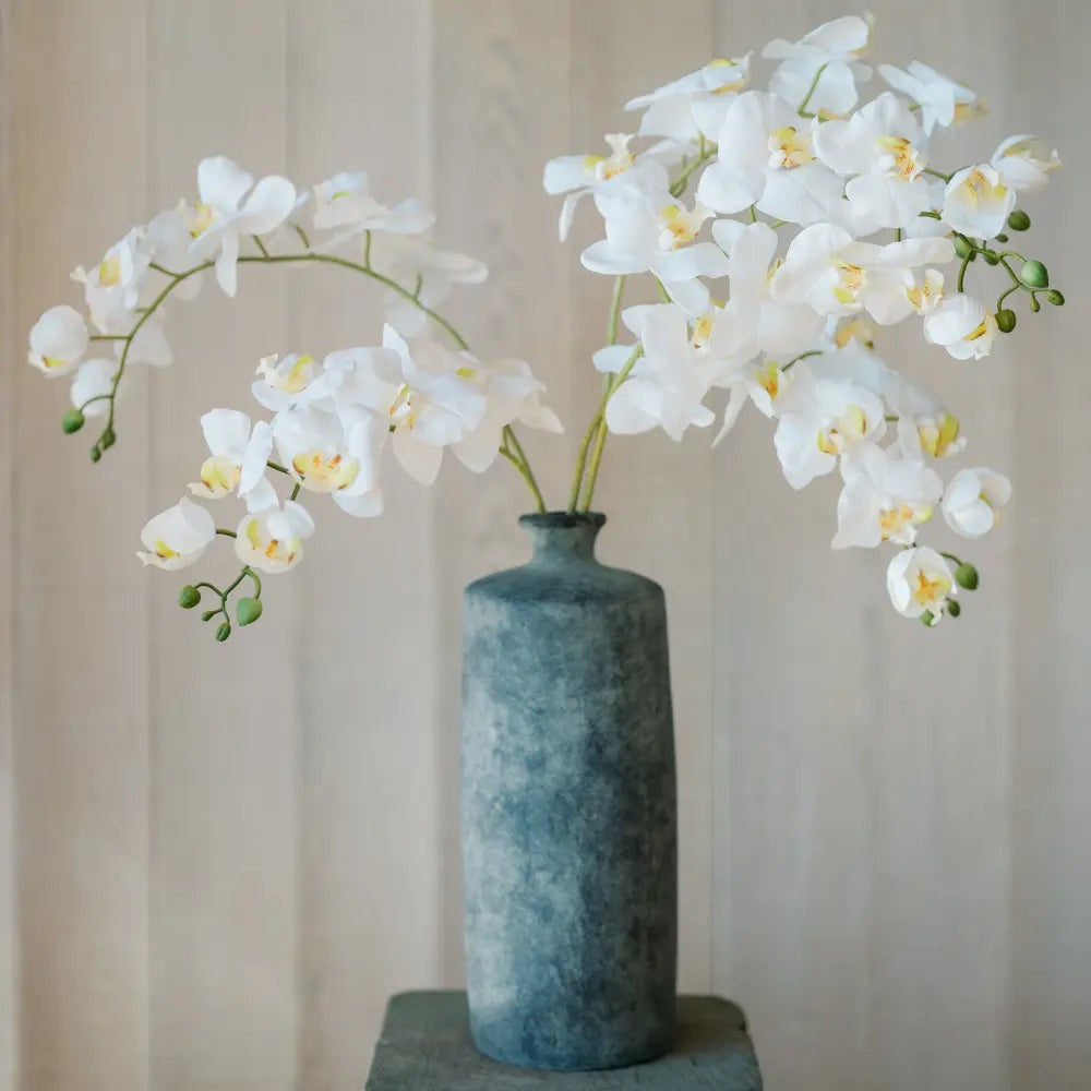 15.75" Luna Decorative Vase
