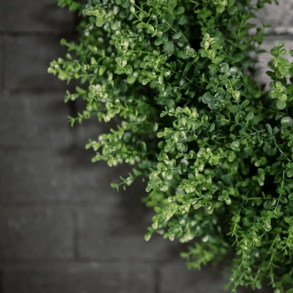 30" Artificial Boxwood Wreath