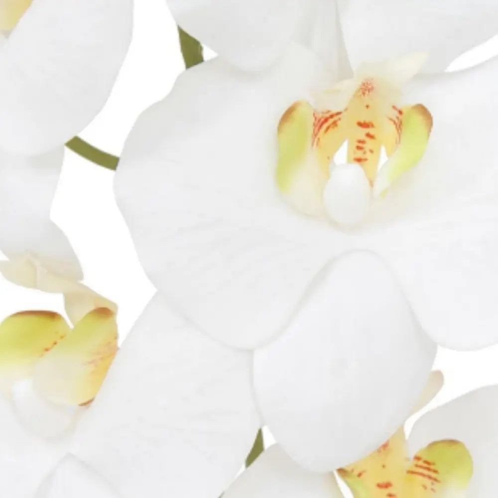 36" Artificial White Phalaenopsis Orchid Stems, Set of 5