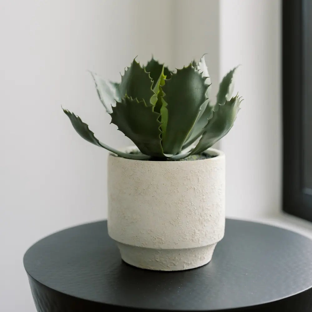 Artificial Succulent Plant Set in Stone Pots, 2-Pack