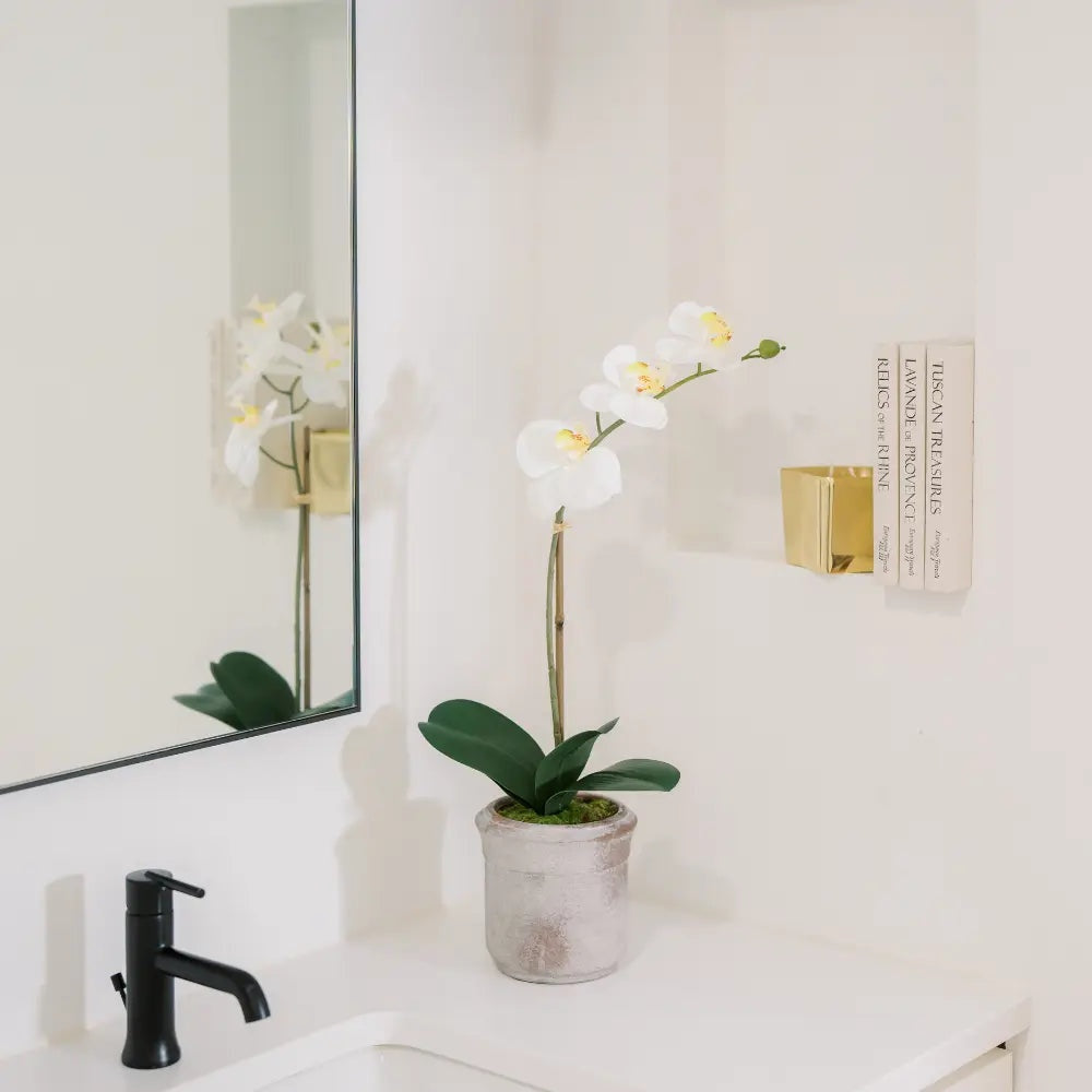 22" Artificial White Phalaenopsis Orchids, Set of 2