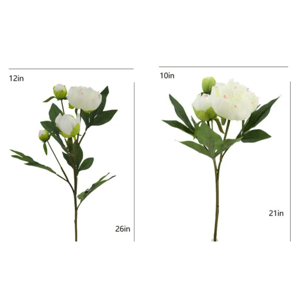 Artificial Cream Peony Stems, Set of 5