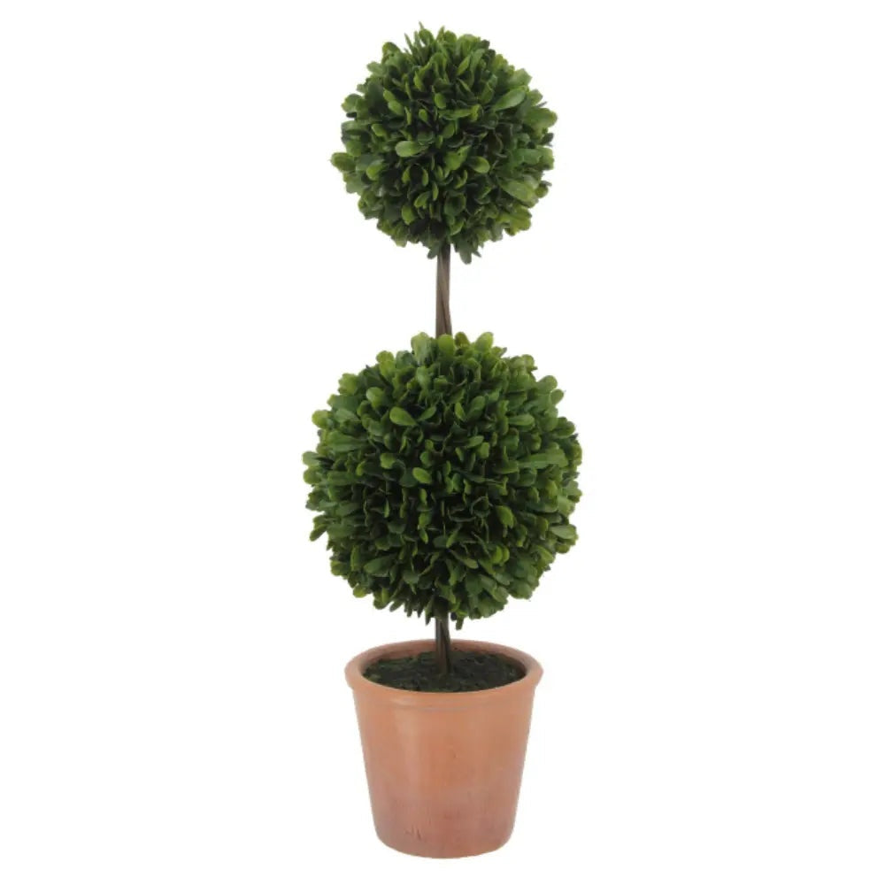 24" Artificial Boxwood Plant in Topiary Pot