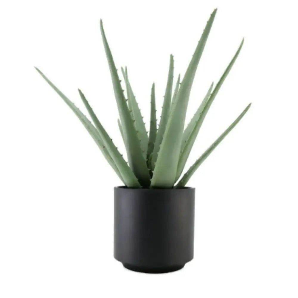 13" Artificial Aloe Plants