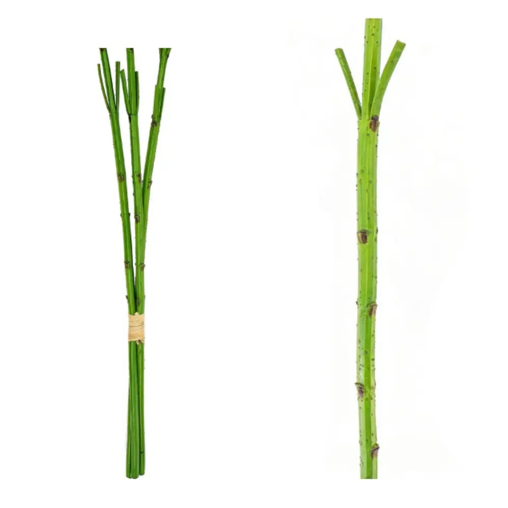 35" Light Green Artificial Hydrangea Stems, Set of 3