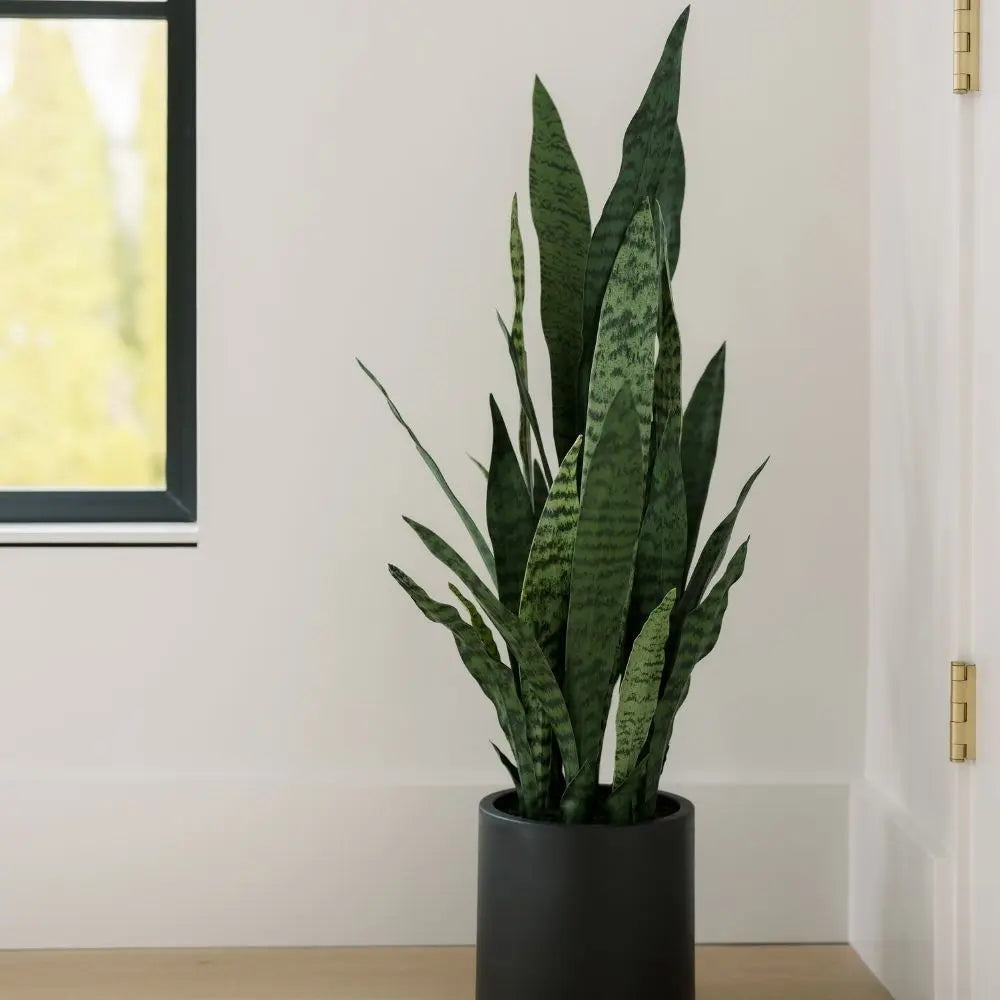 40" Artificial Snake Plant in Black Pot