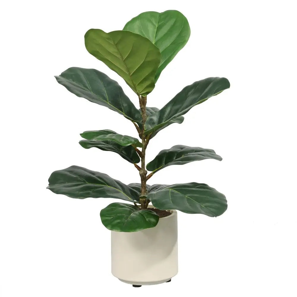 large artificial fiddle leaf fig tree 2' Artificial Fiddle Leaf Fig Trees in Pot