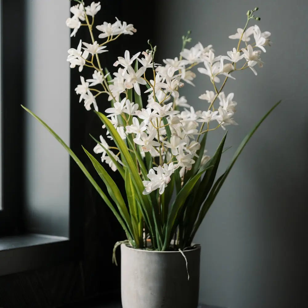 Artificial White Orchid in Vanda Pot