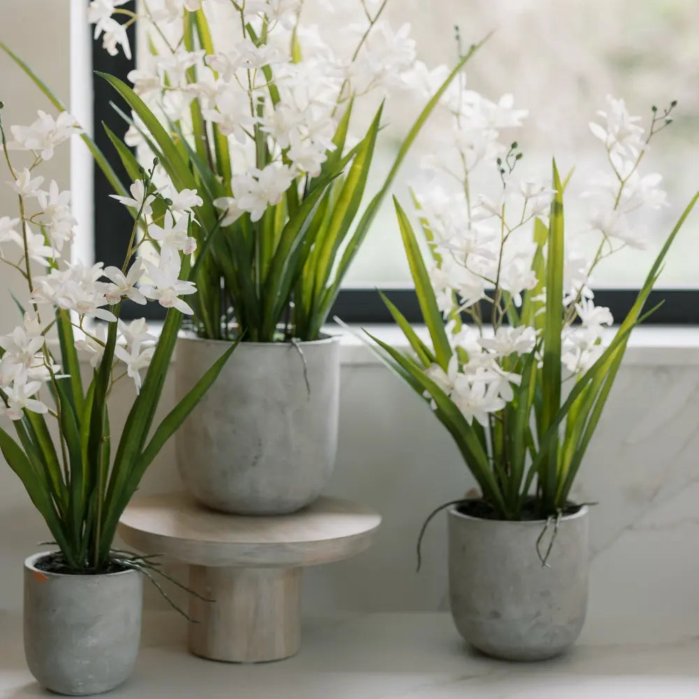 Artificial White Orchid in Vanda Pot