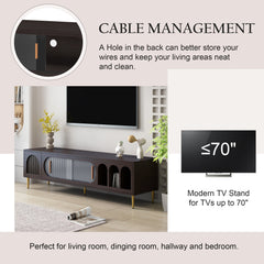 Modern TV Stand for 70+ Inch TV with 3 Shelves and 2 Cabinet - TV Stand