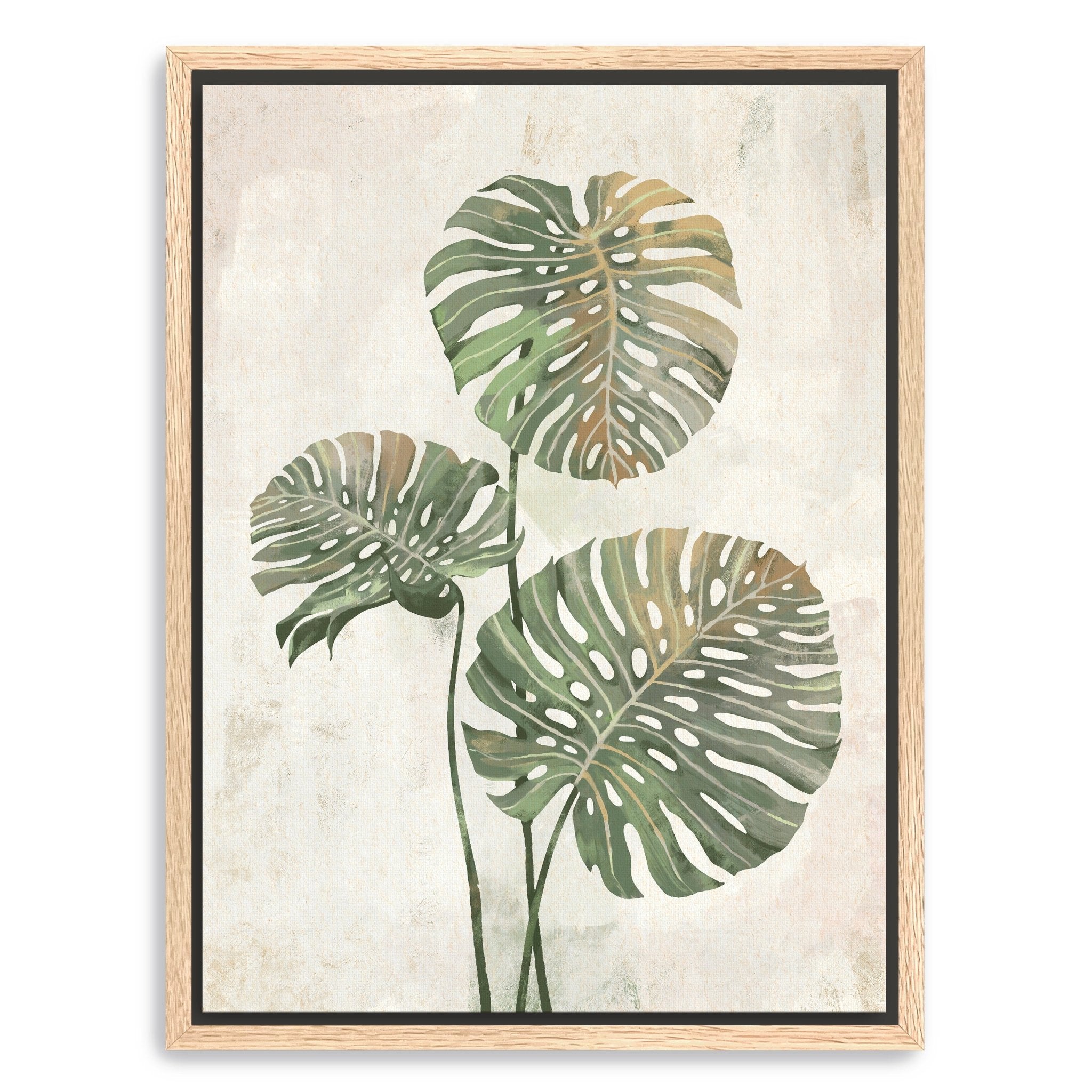 Monstera Leaves Canvas Giclee - Canvas Wall Art