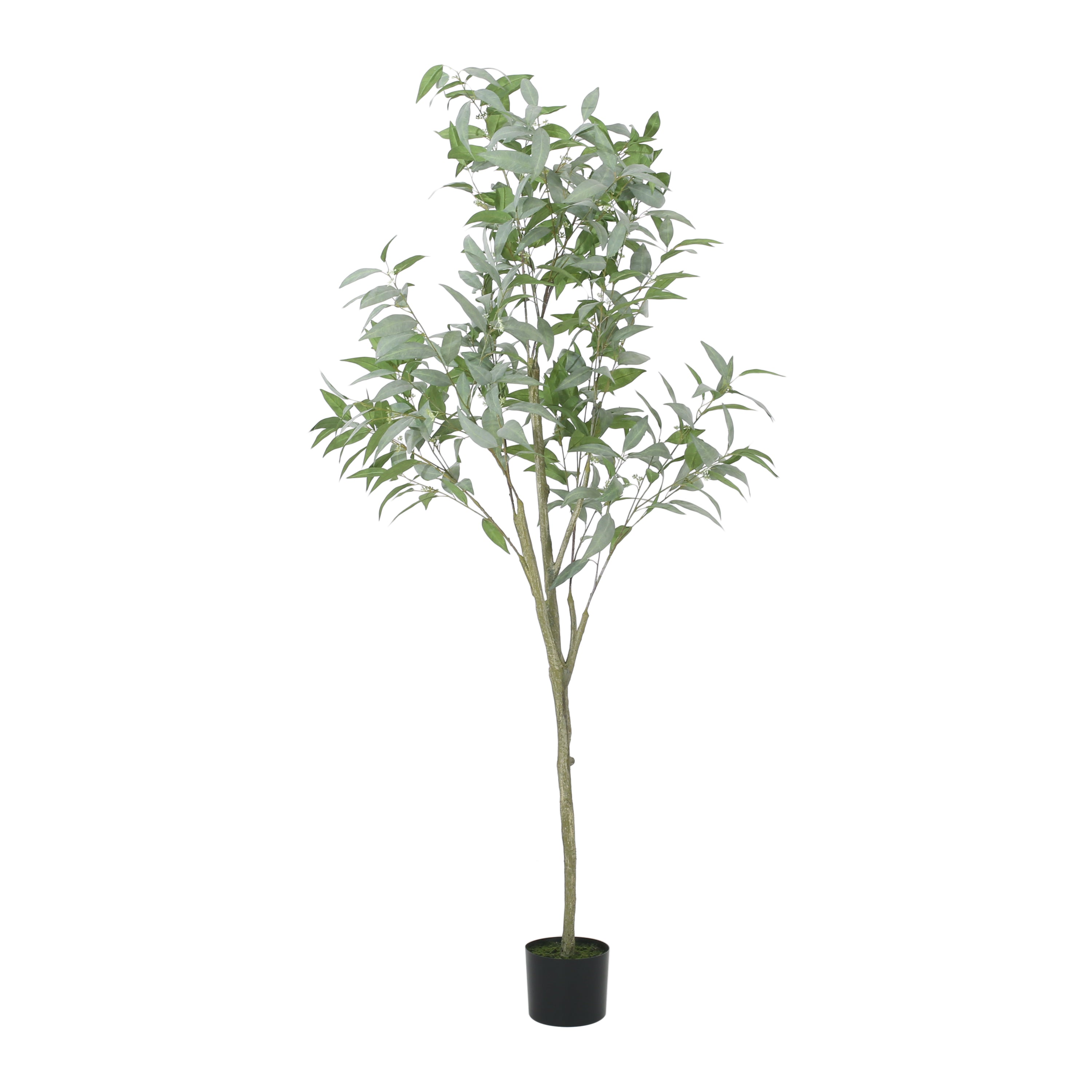 Eucalyptus Faux Bonsai Tree