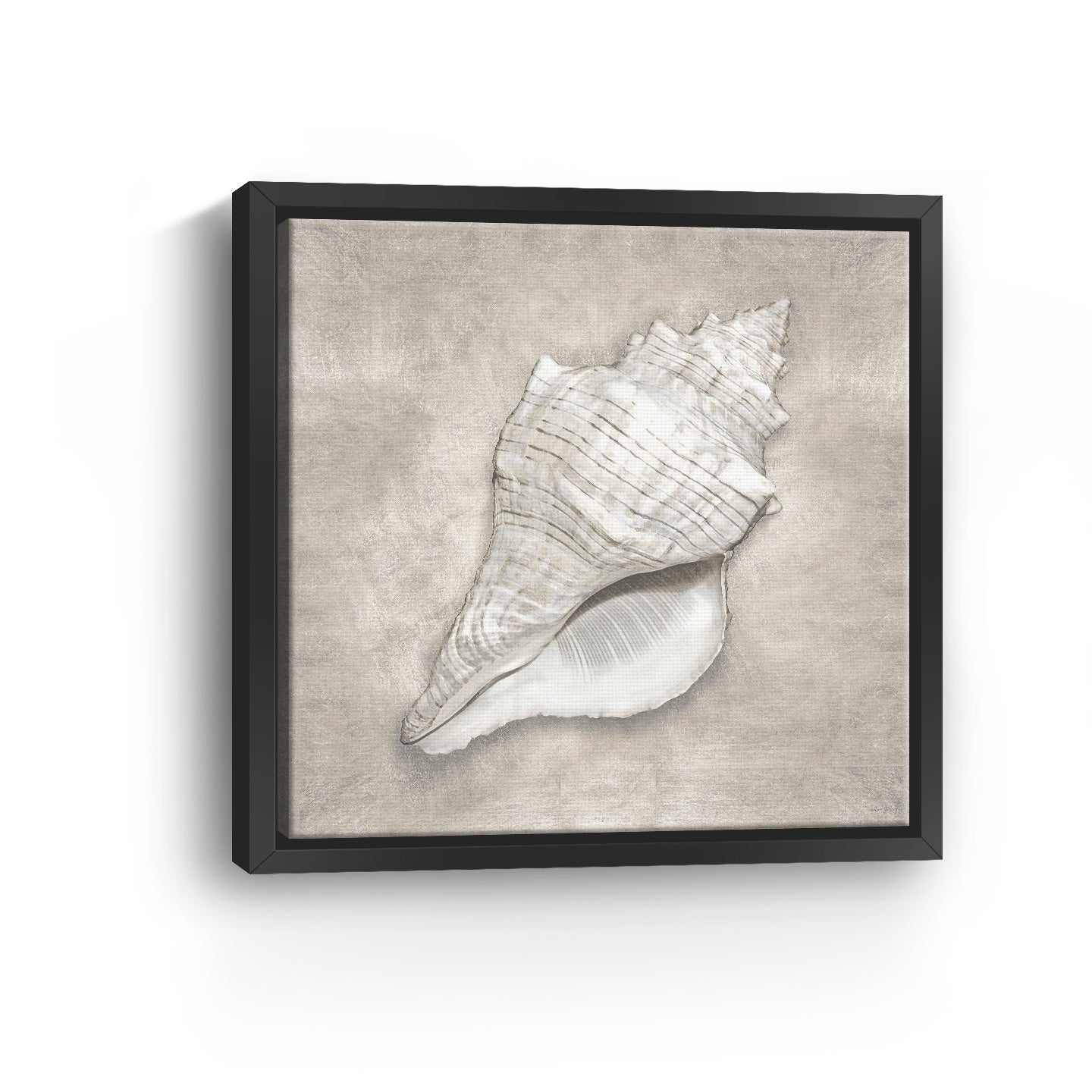 Pewter Seashells I Canvas Giclee - Canvas Wall Art