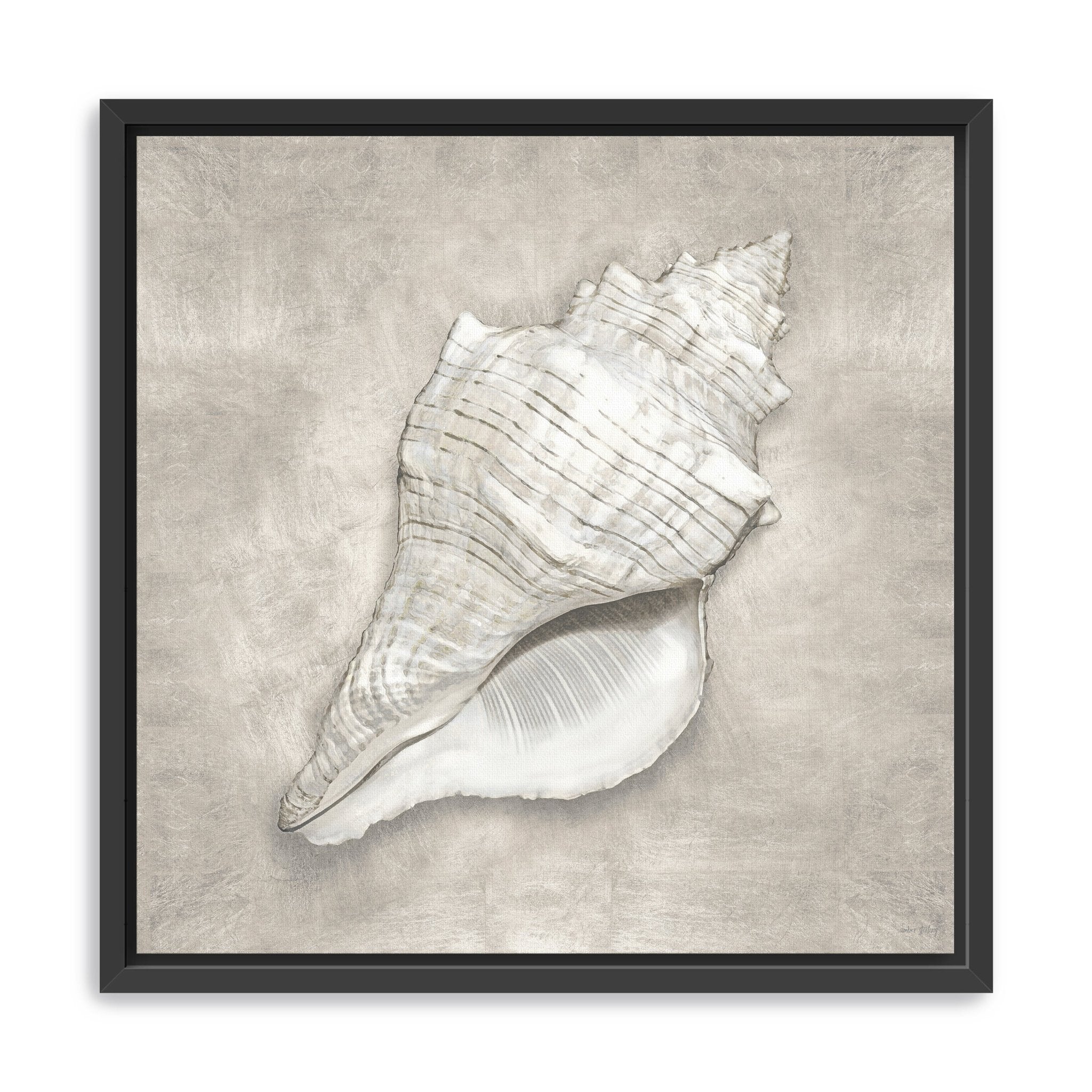 Pewter Seashells I Canvas Giclee - Canvas Wall Art