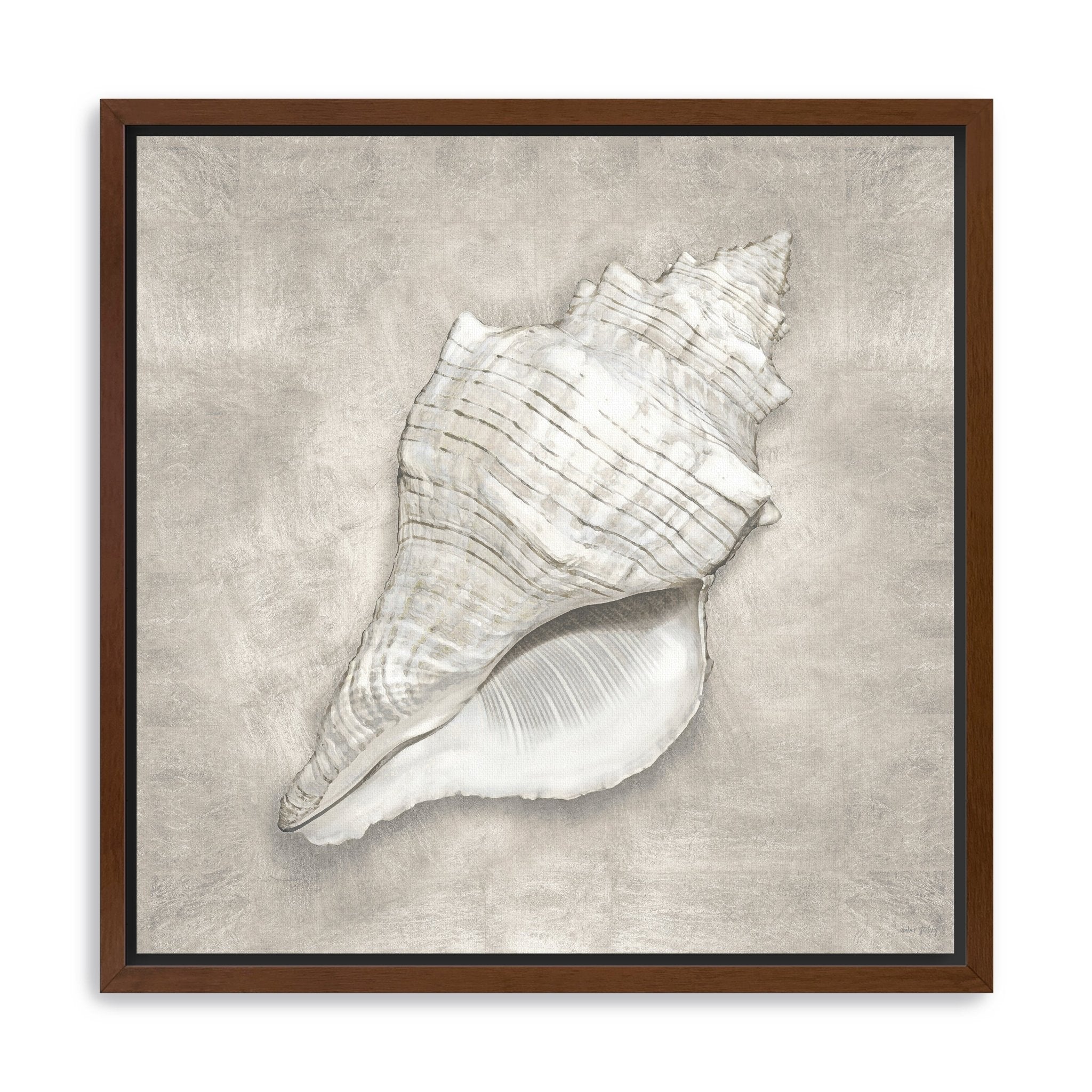 Pewter Seashells I Canvas Giclee - Canvas Wall Art