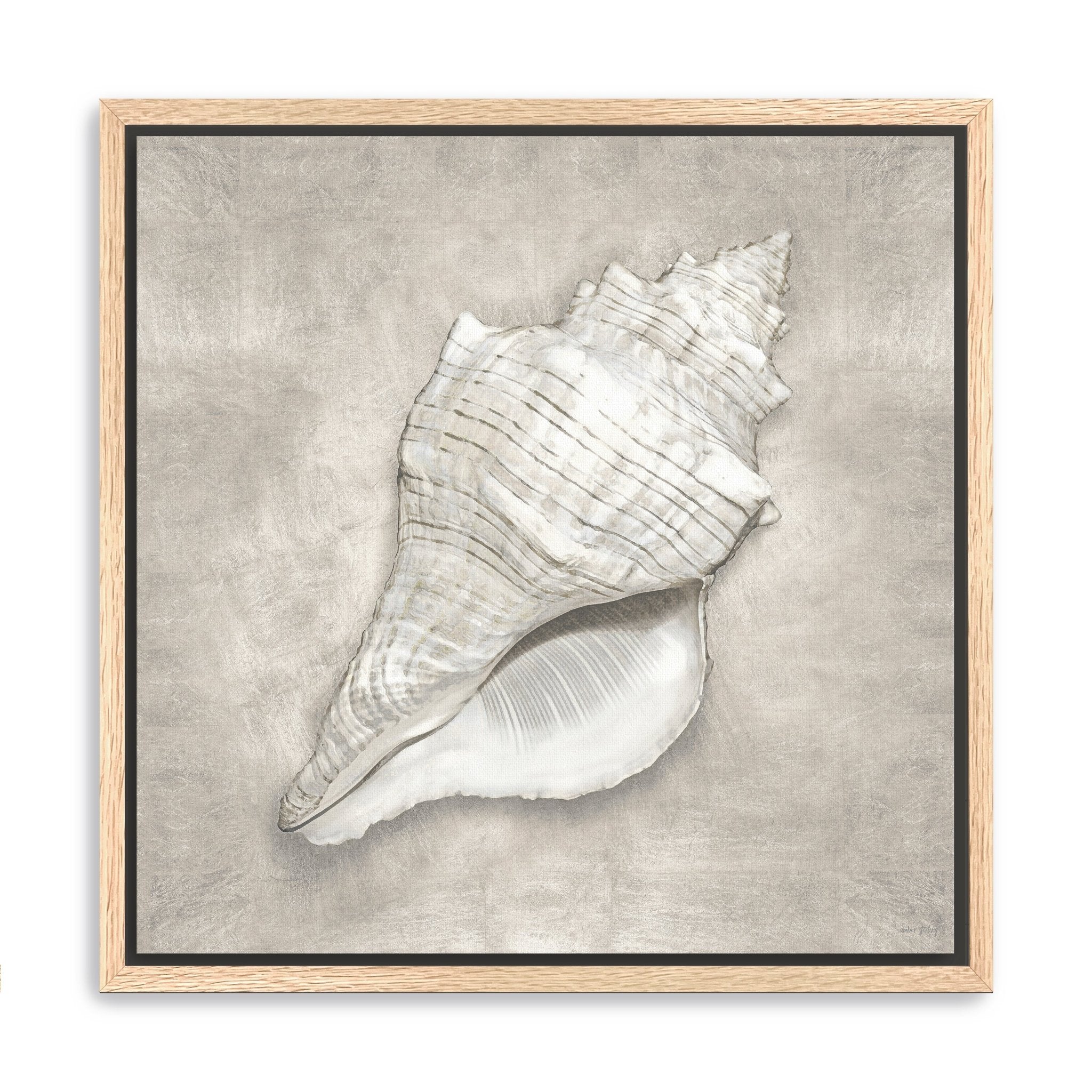 Pewter Seashells I Canvas Giclee - Canvas Wall Art
