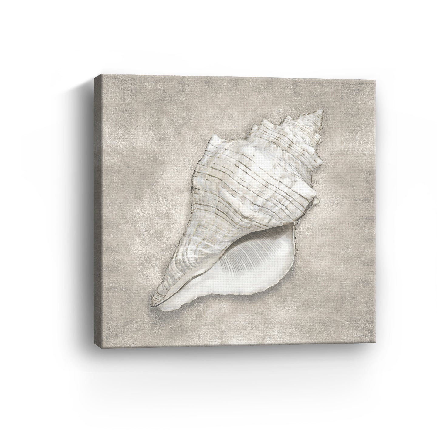 Pewter Seashells I Canvas Giclee - Canvas Wall Art
