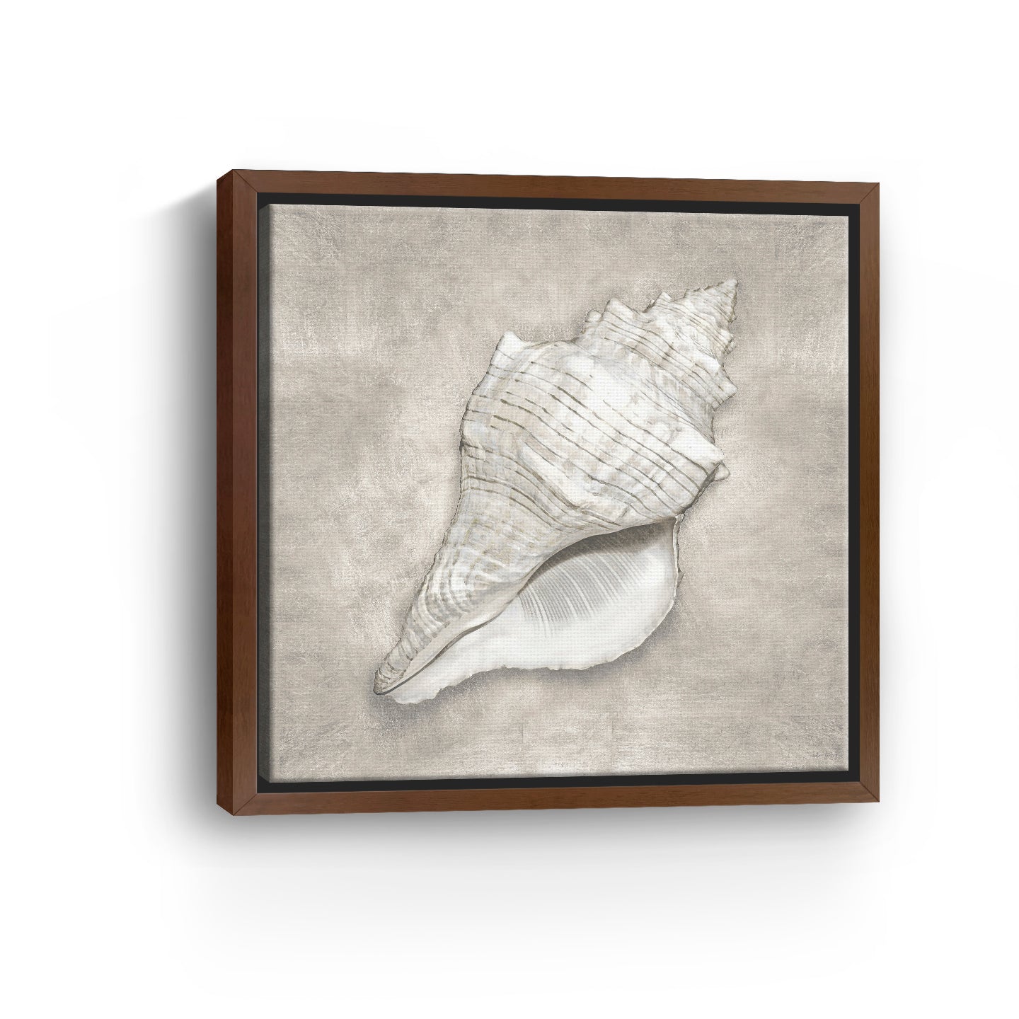 Pewter Seashells I Canvas Giclee - Canvas Wall Art