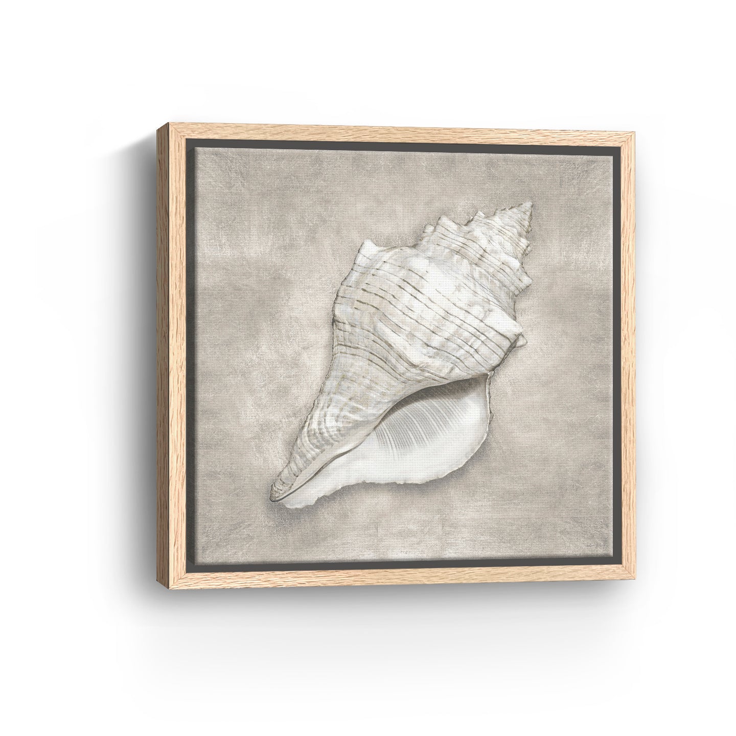 Pewter Seashells I Canvas Giclee - Canvas Wall Art