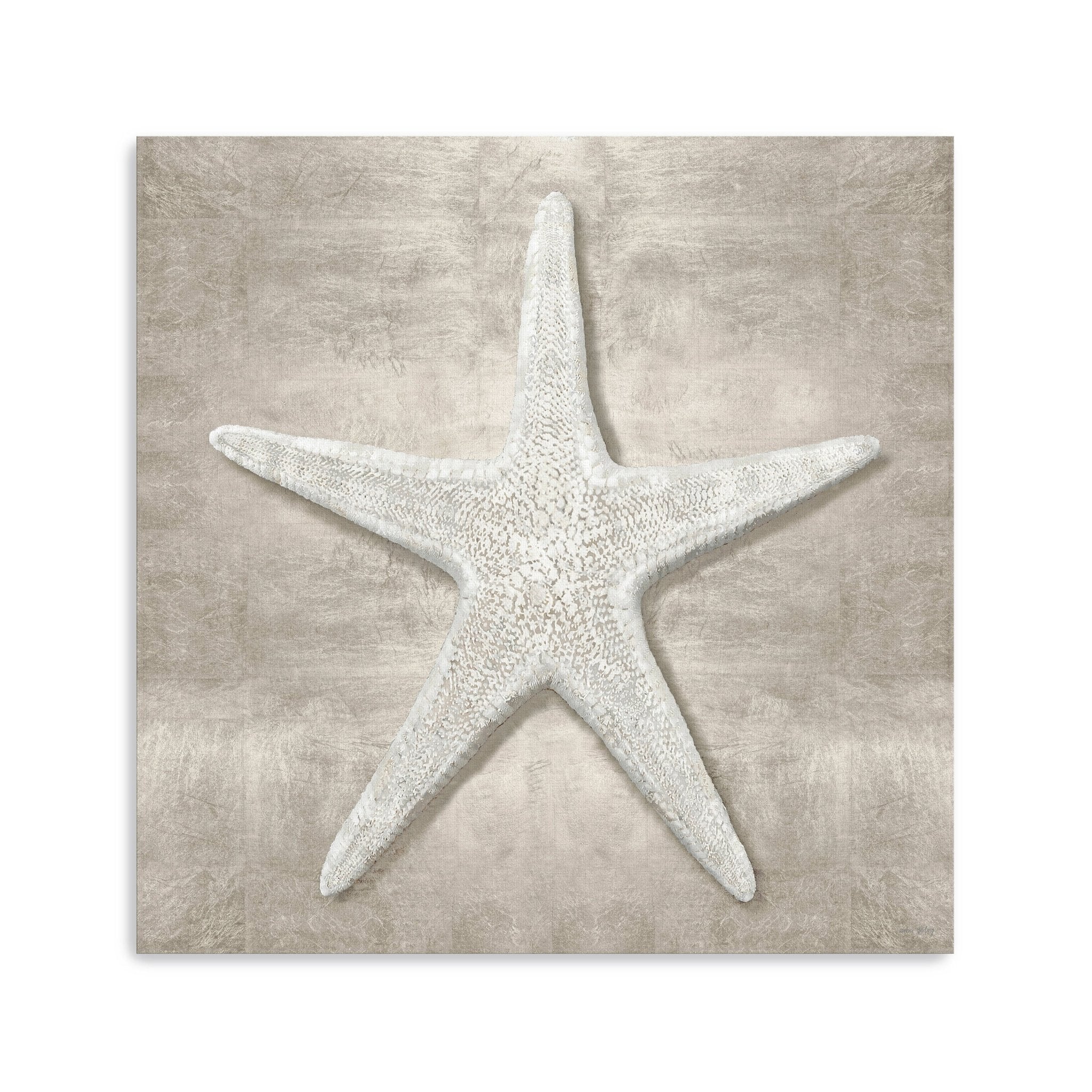 Pewter Seashells III Canvas Giclee - Canvas Wall Art