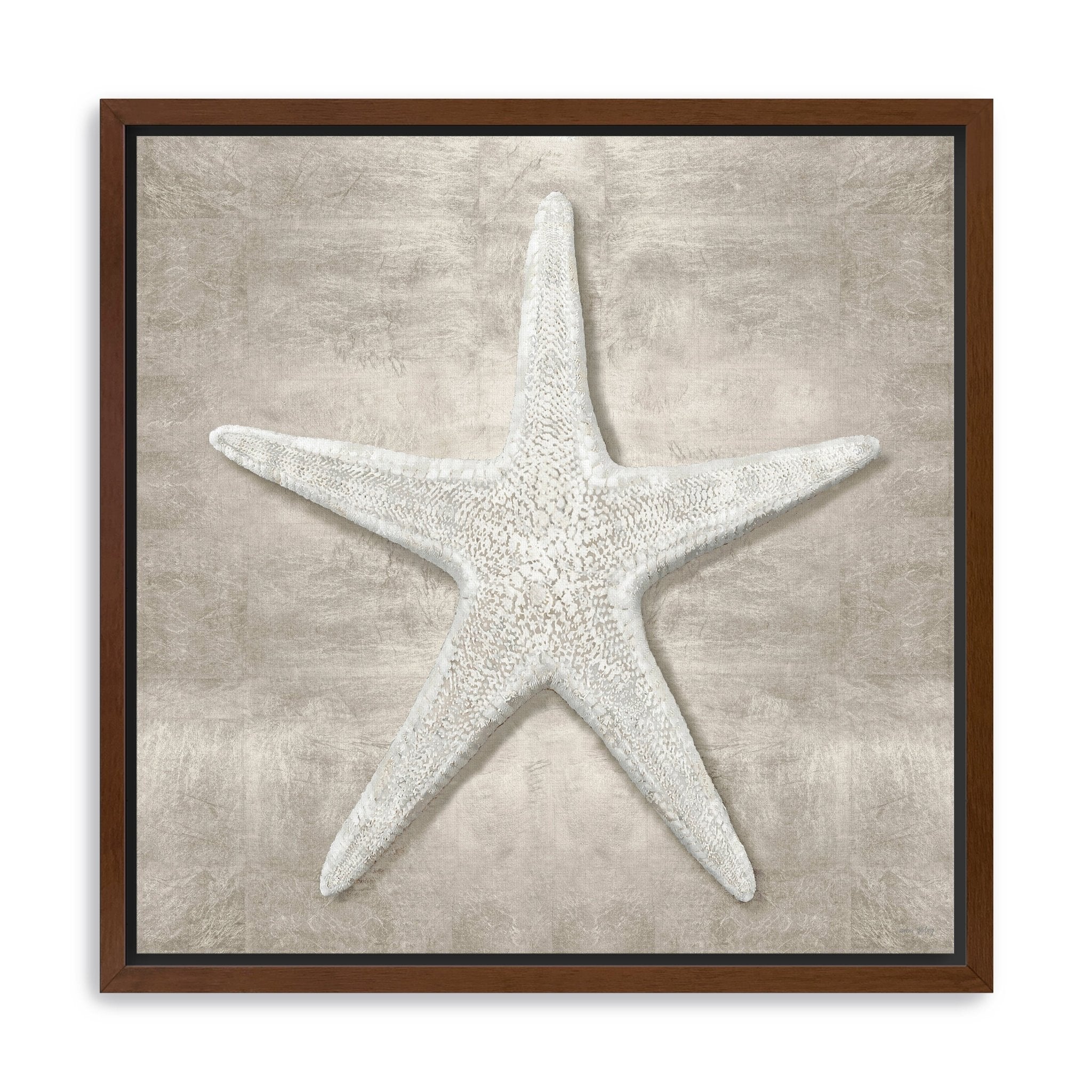 Pewter Seashells III Canvas Giclee - Canvas Wall Art