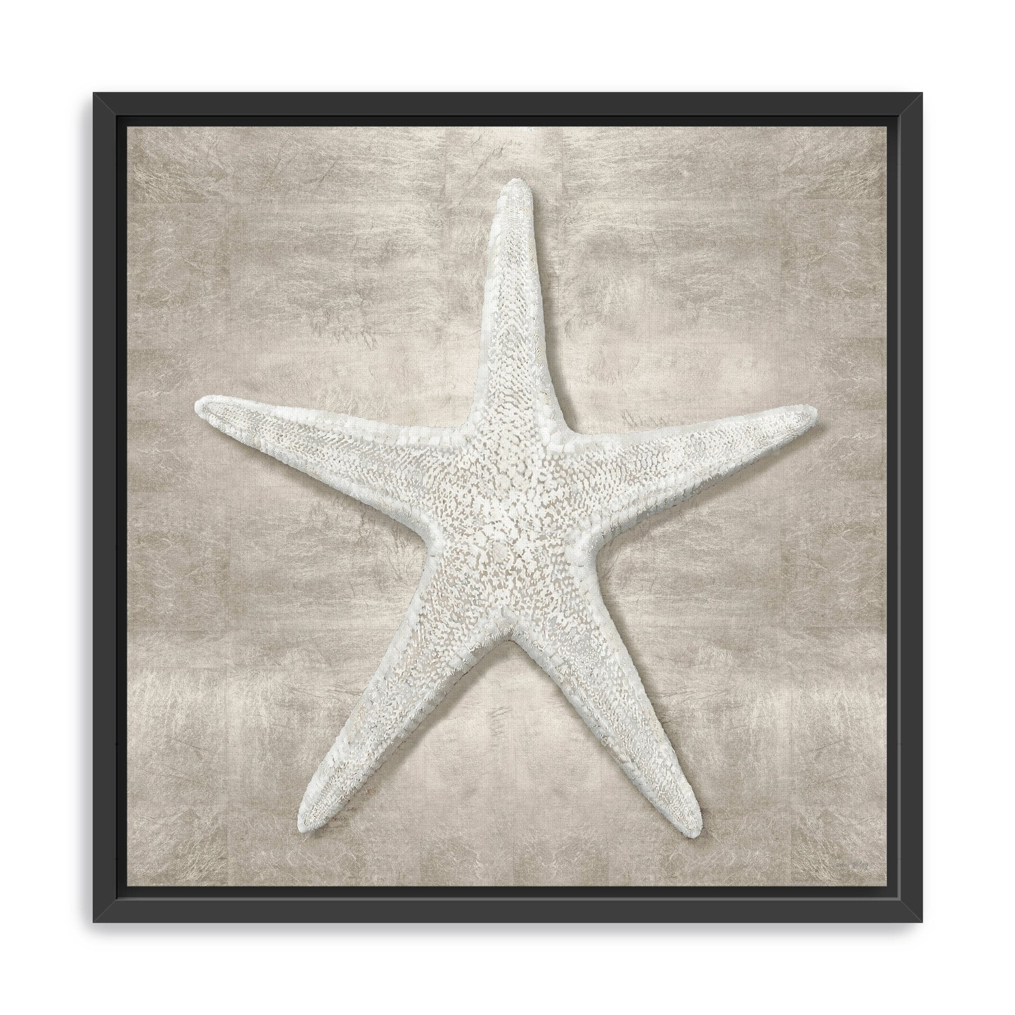 Pewter Seashells III Canvas Giclee - Canvas Wall Art