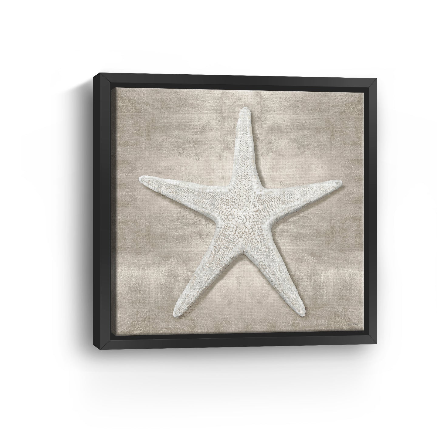Pewter Seashells III Canvas Giclee - Canvas Wall Art