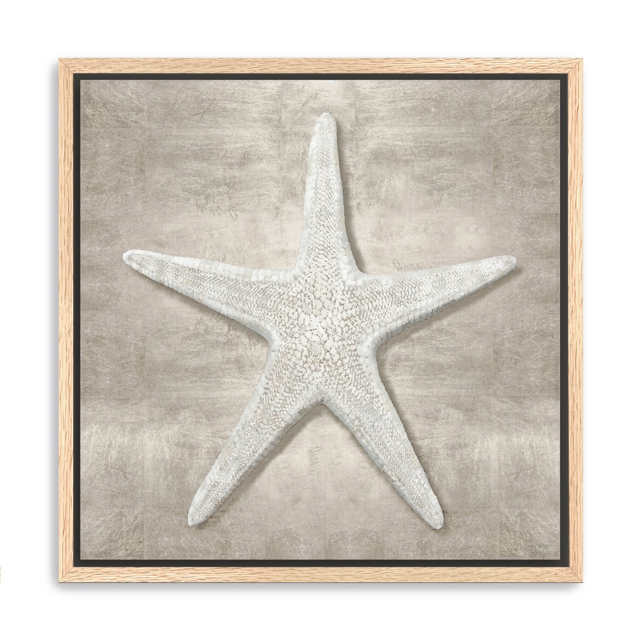 Pewter Seashells III Canvas Giclee - Canvas Wall Art