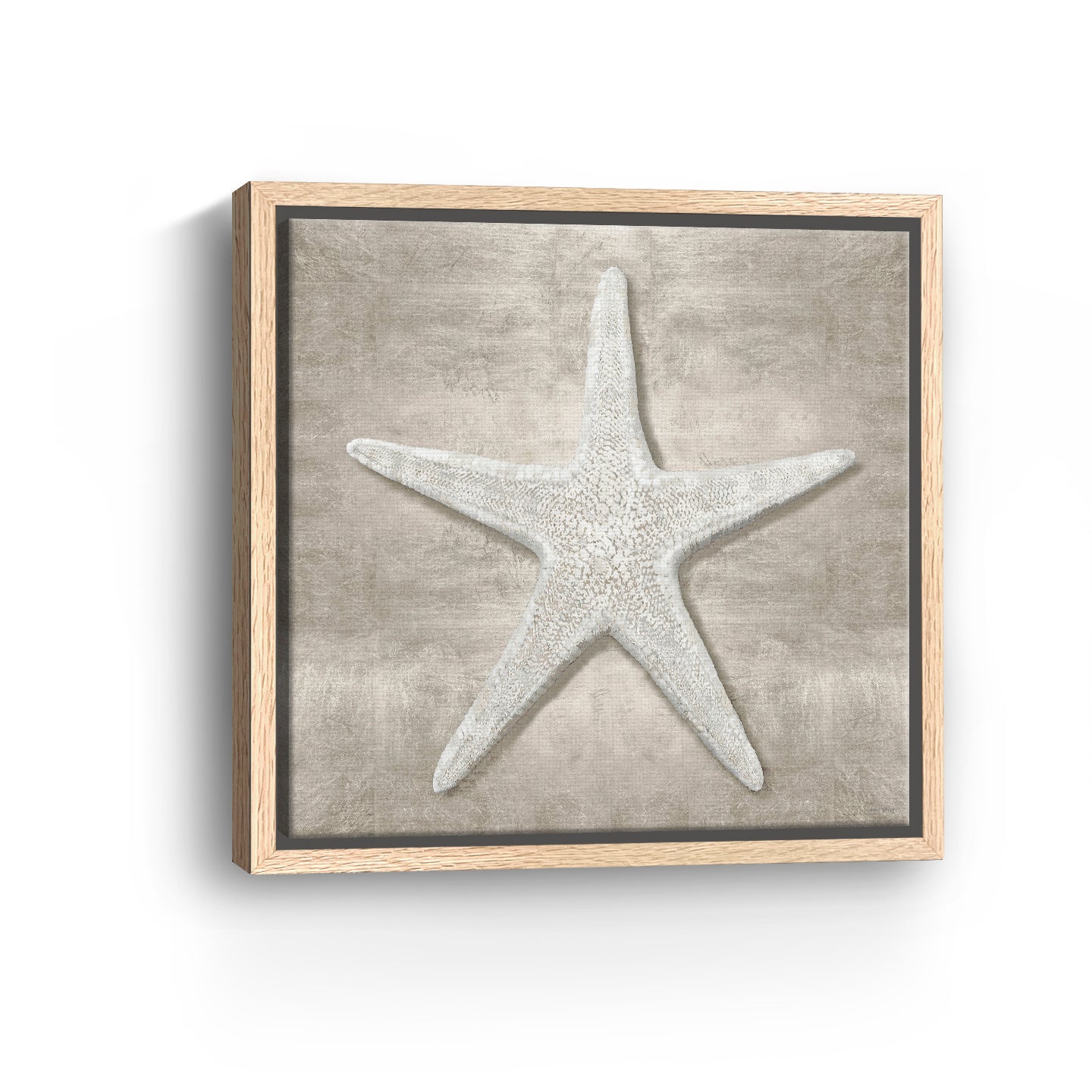 Pewter Seashells III Canvas Giclee - Canvas Wall Art