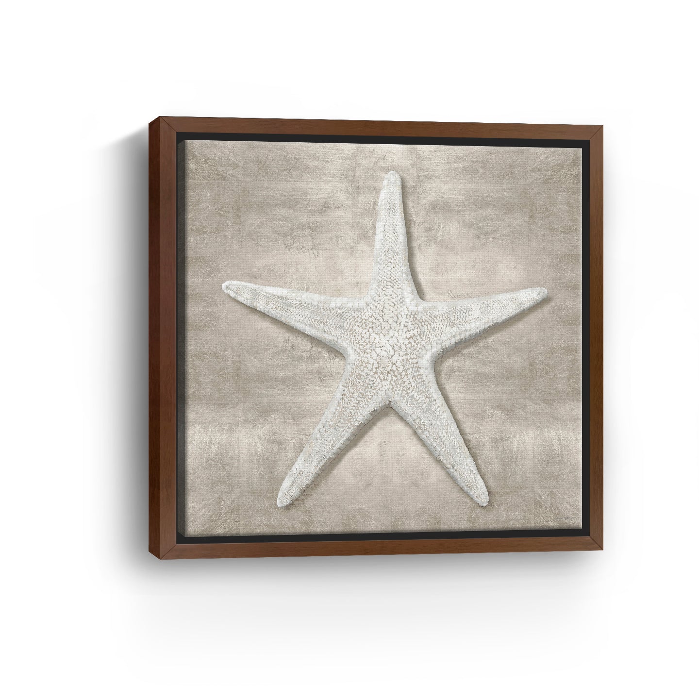 Pewter Seashells III Canvas Giclee - Canvas Wall Art