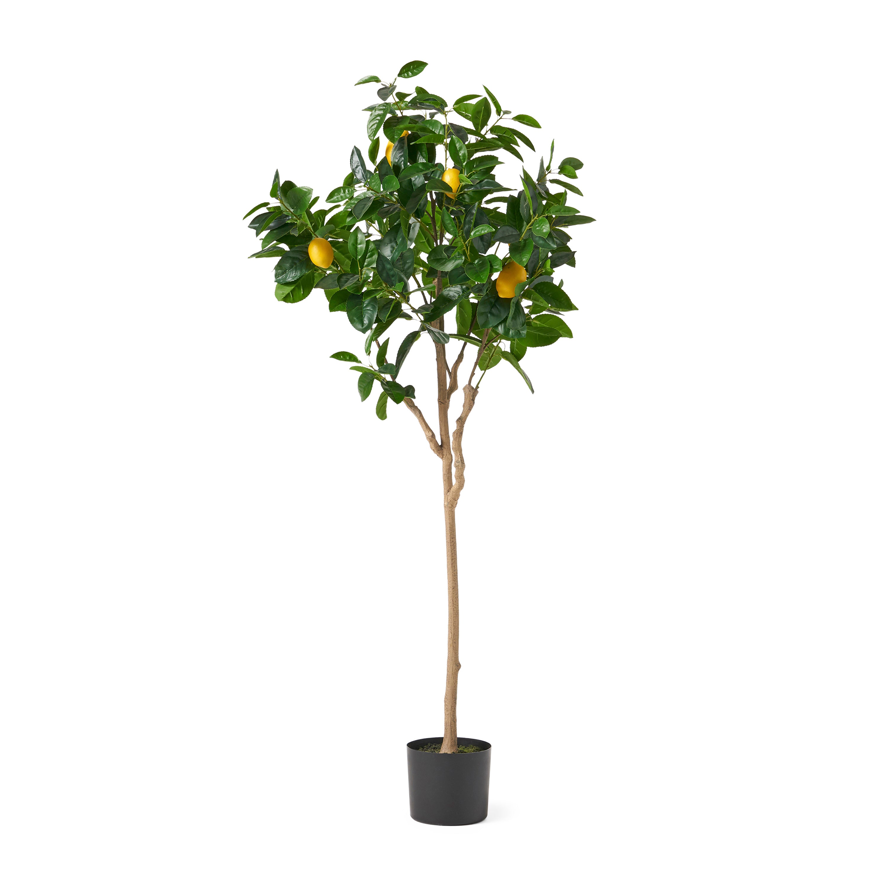62" Faux Lemon Tree