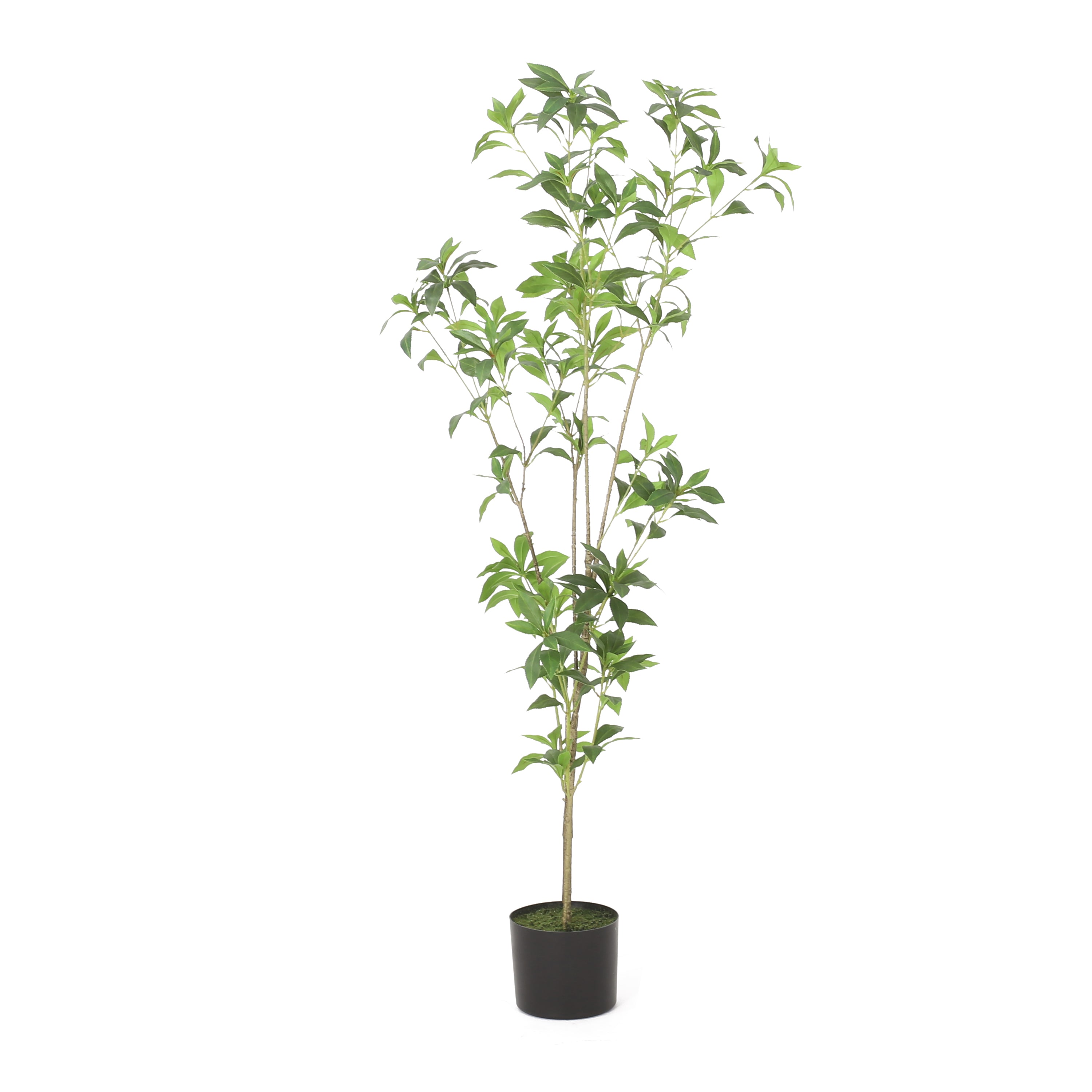 Faux Pieris Tree