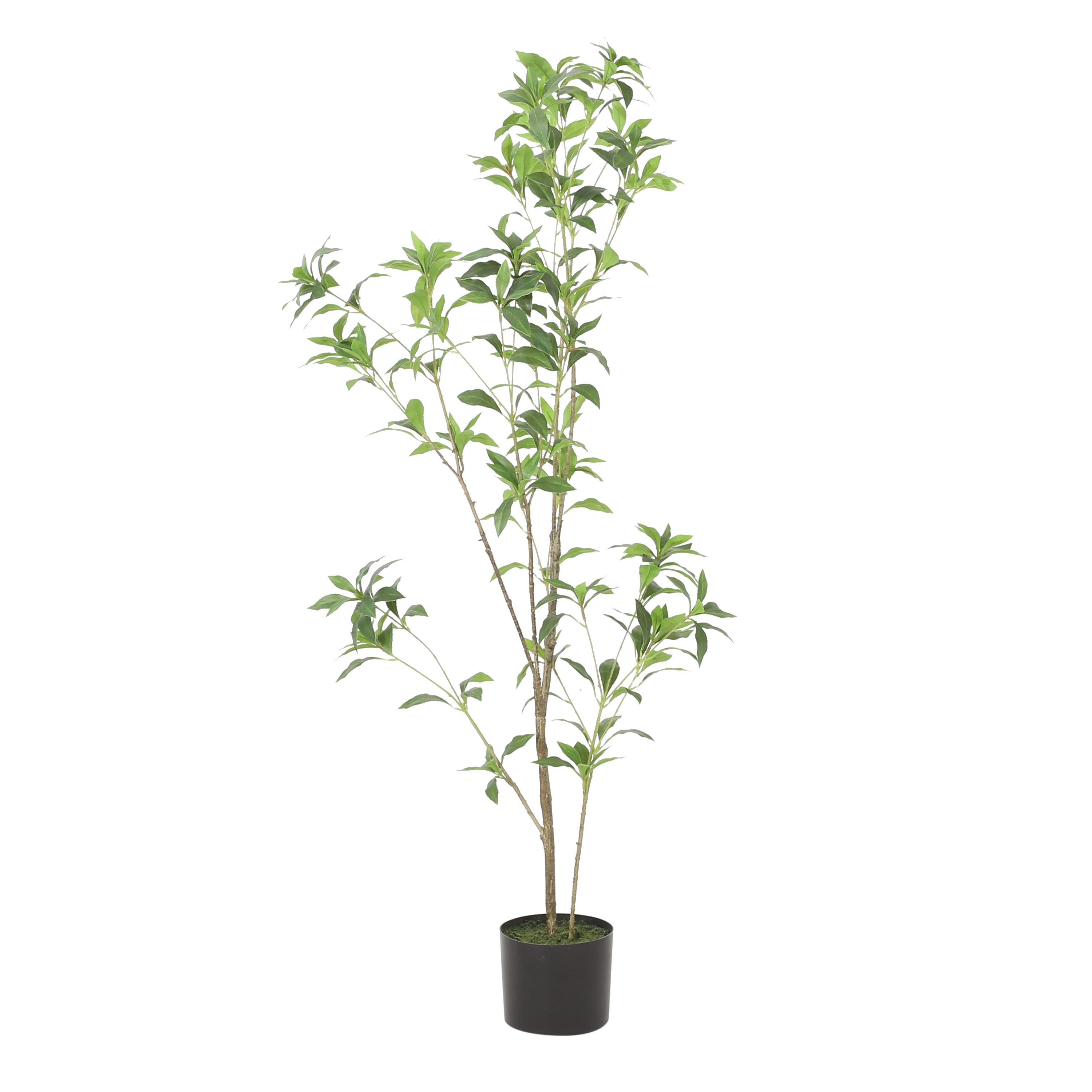 Faux Pieris Tree