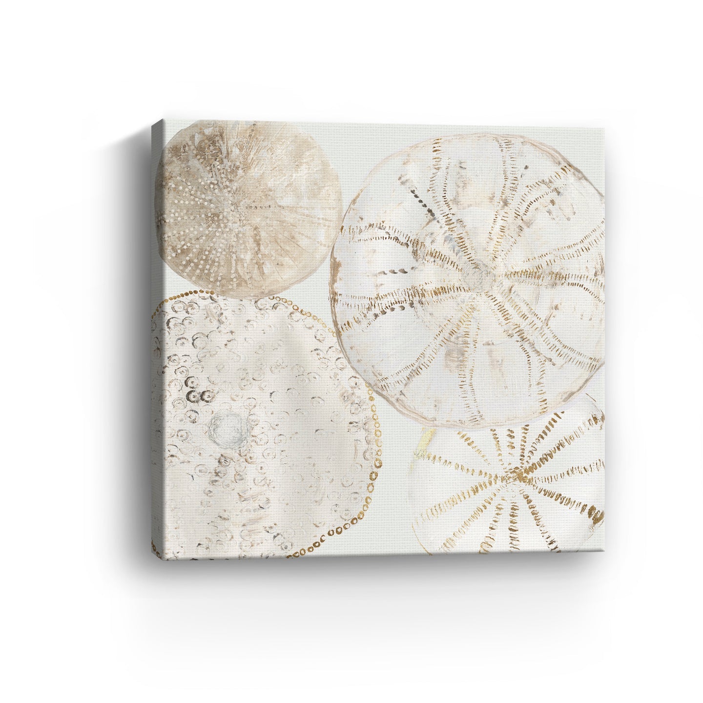 Sea Patterns II Canvas Giclee - Canvas Wall Art