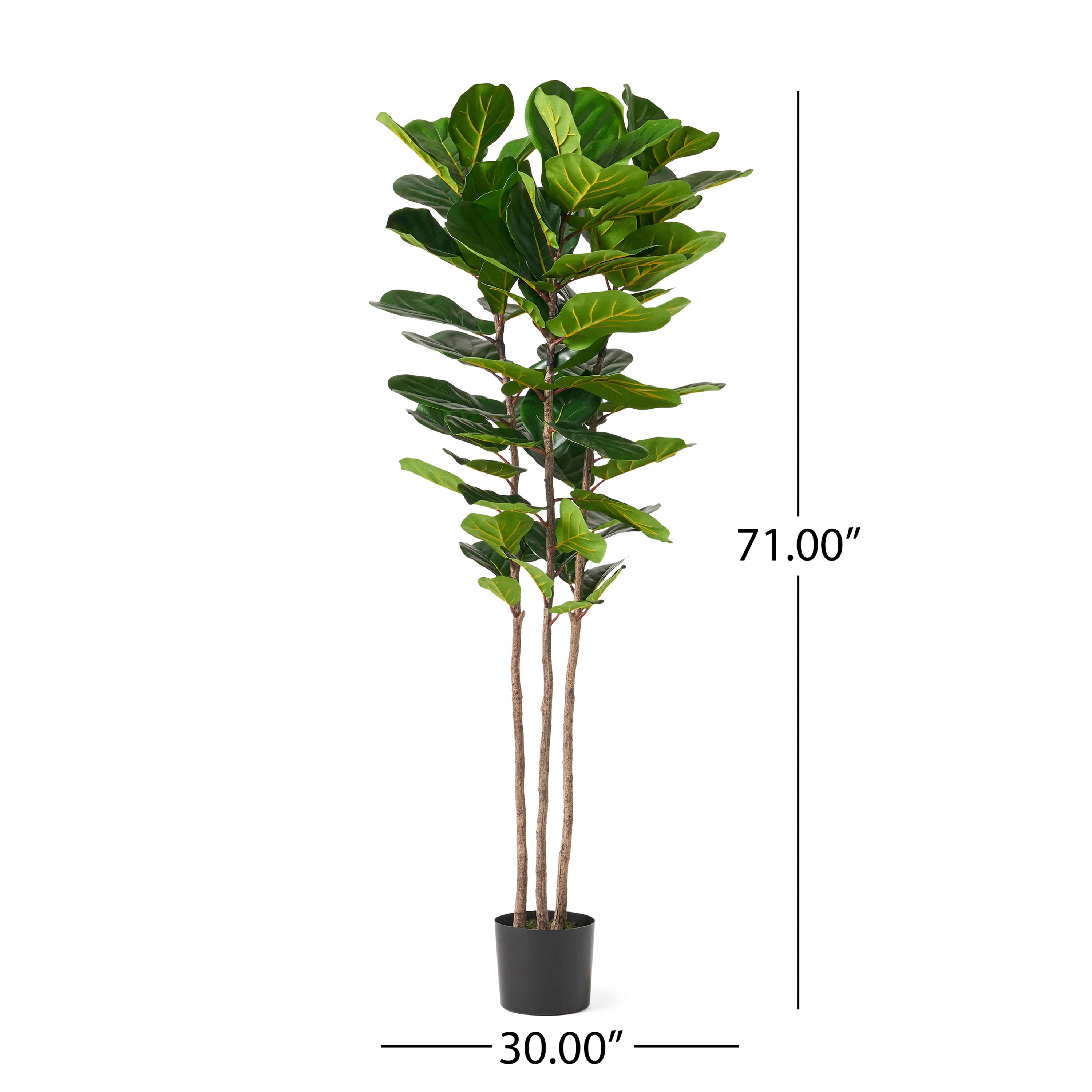 71" Faux Fiddle Leaf Fern Tree