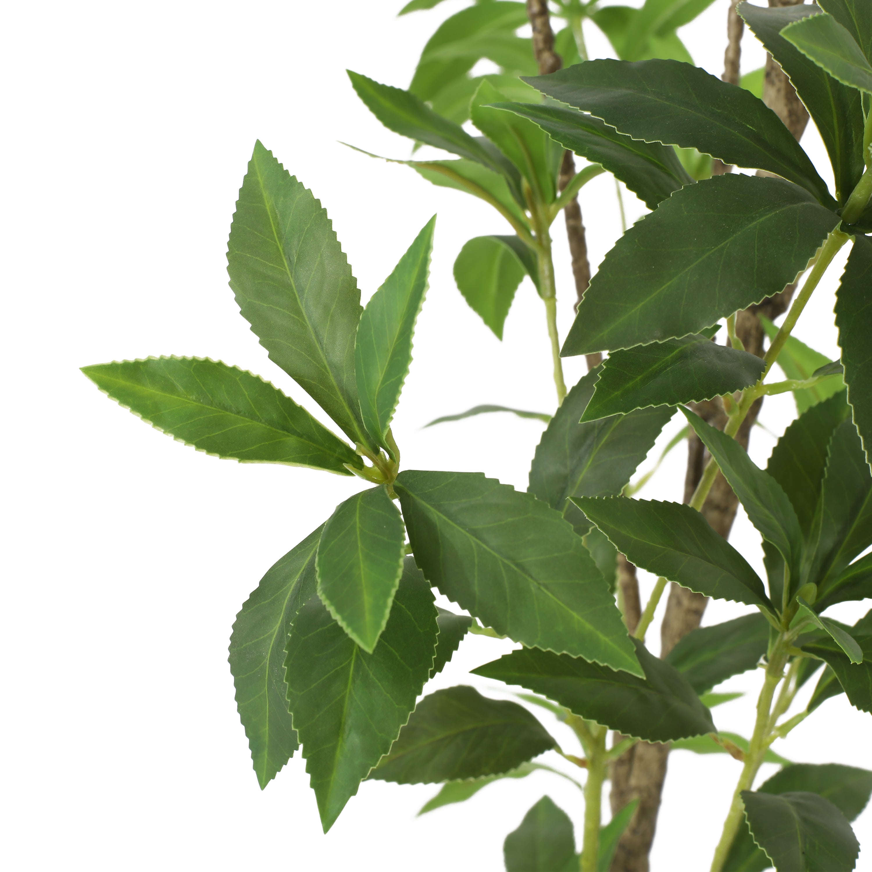 Faux Pieris Tree
