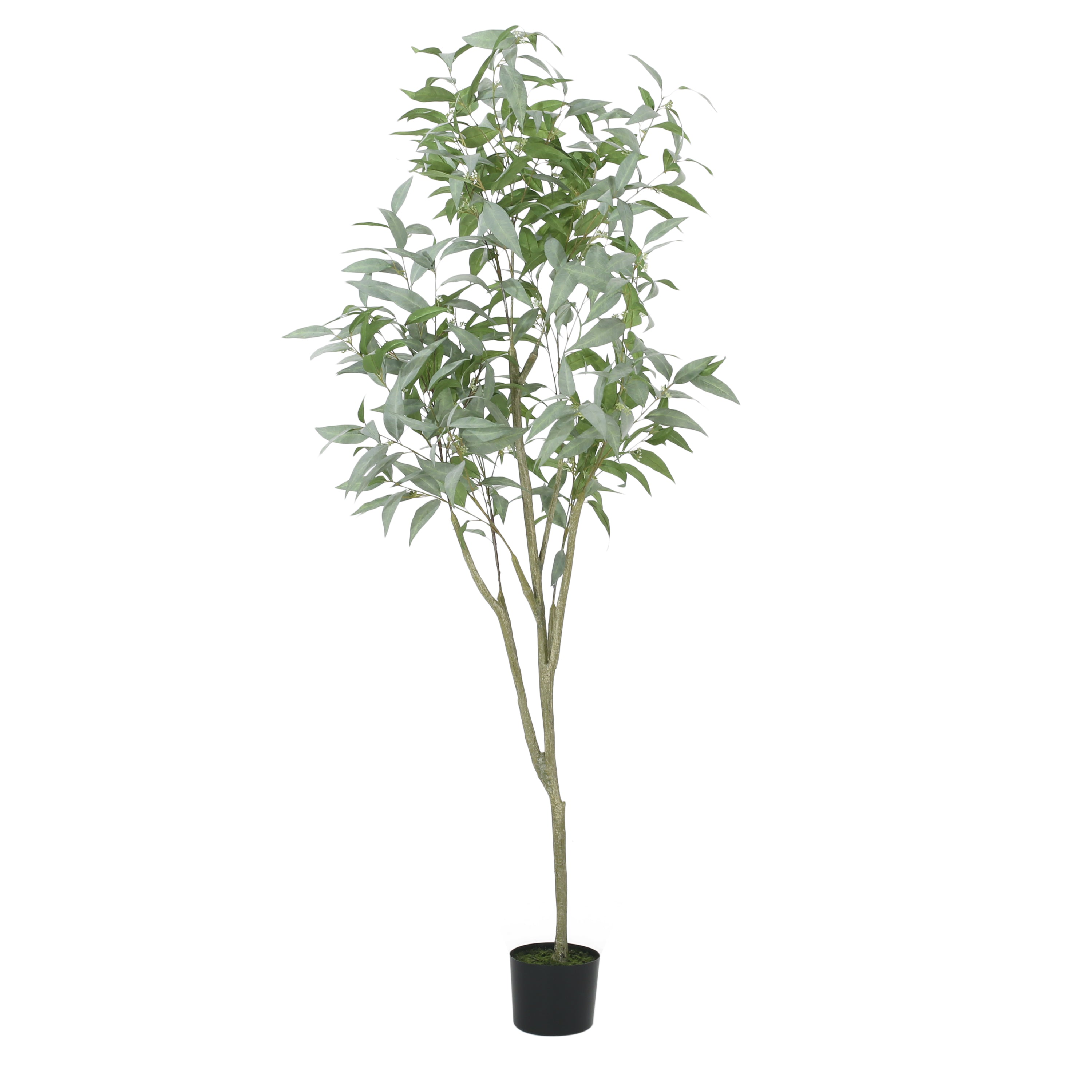 Eucalyptus Faux Bonsai Tree