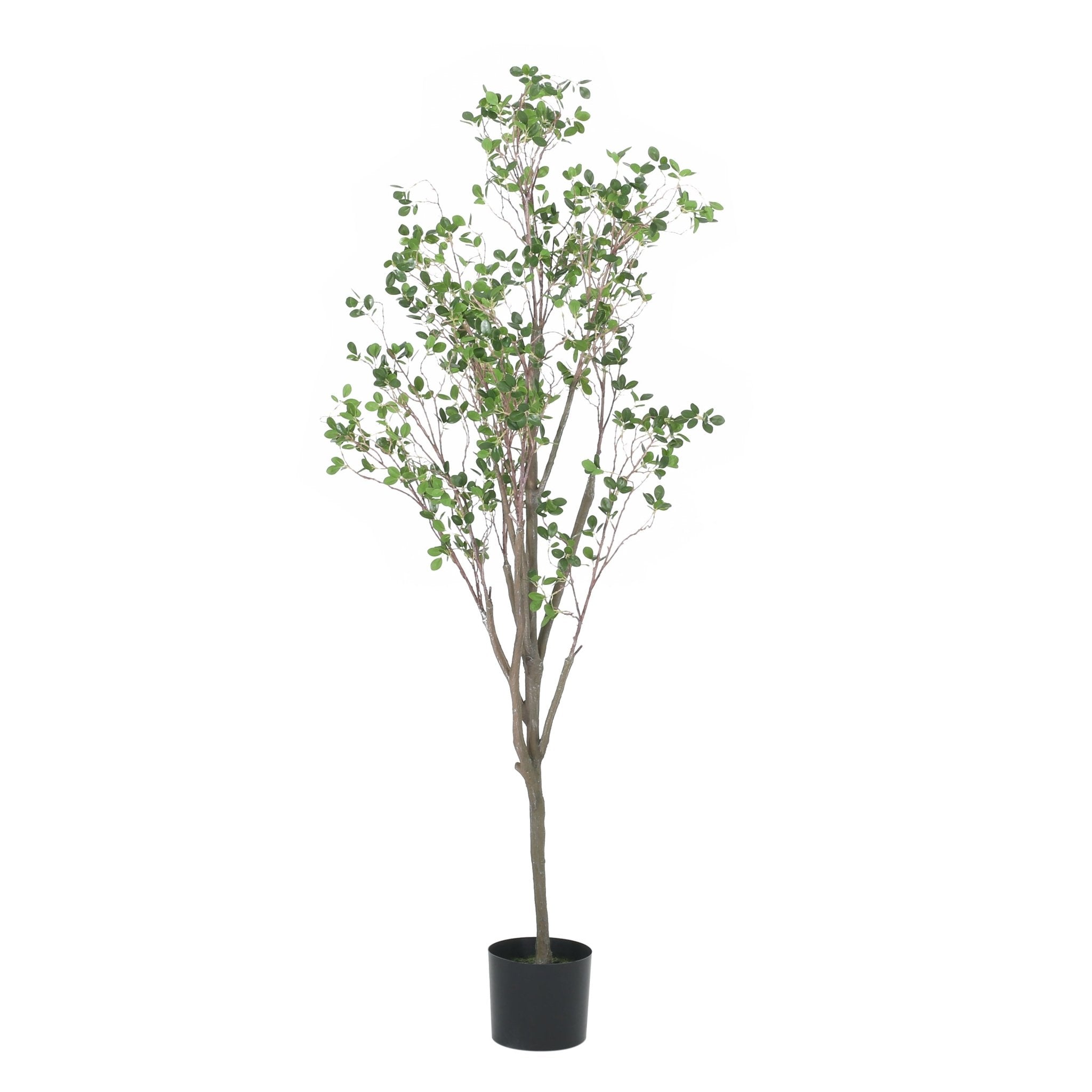 Veracity Artificial Milan Leaves Bonsai - Potted Plants