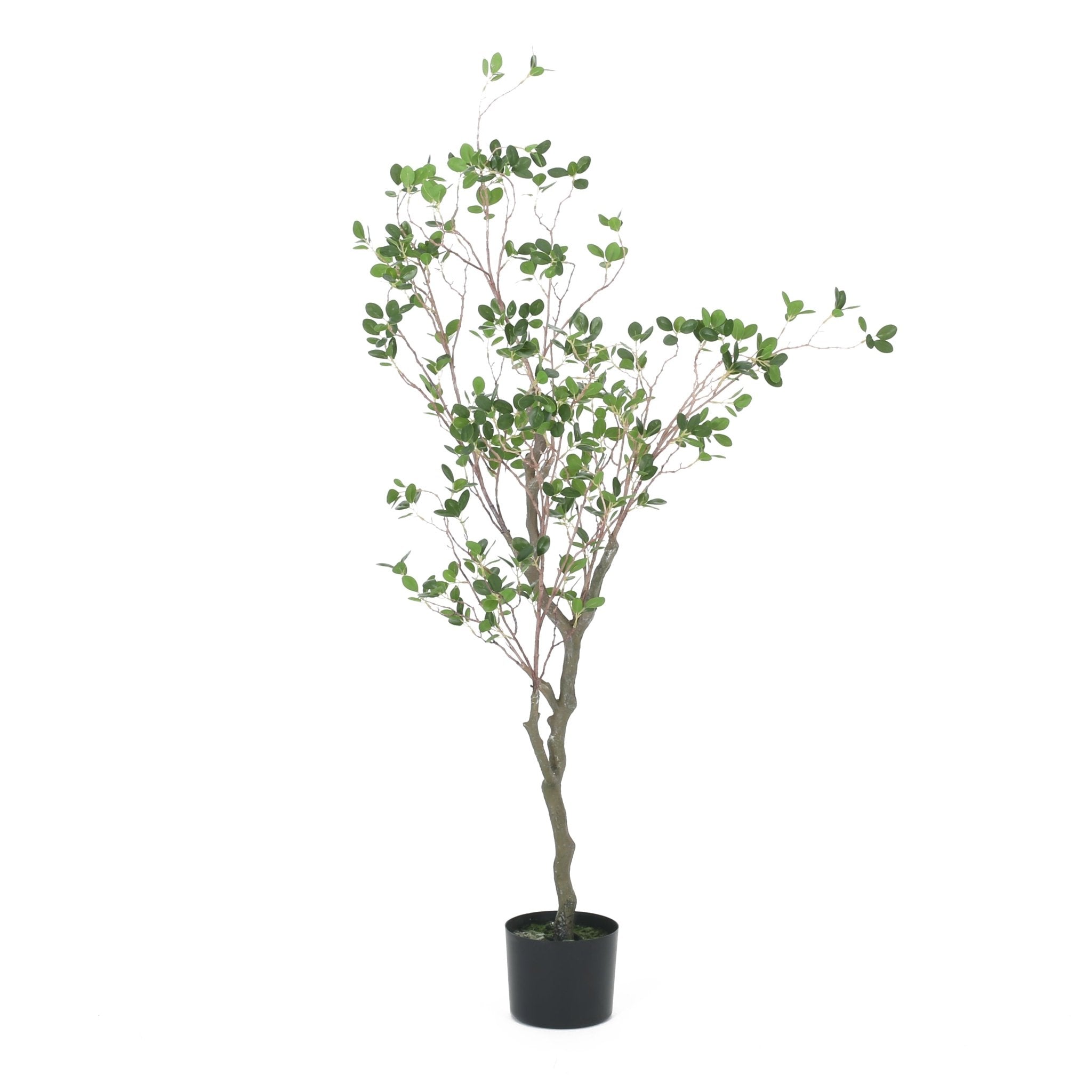 Veracity Artificial Milan Leaves Bonsai - Potted Plants