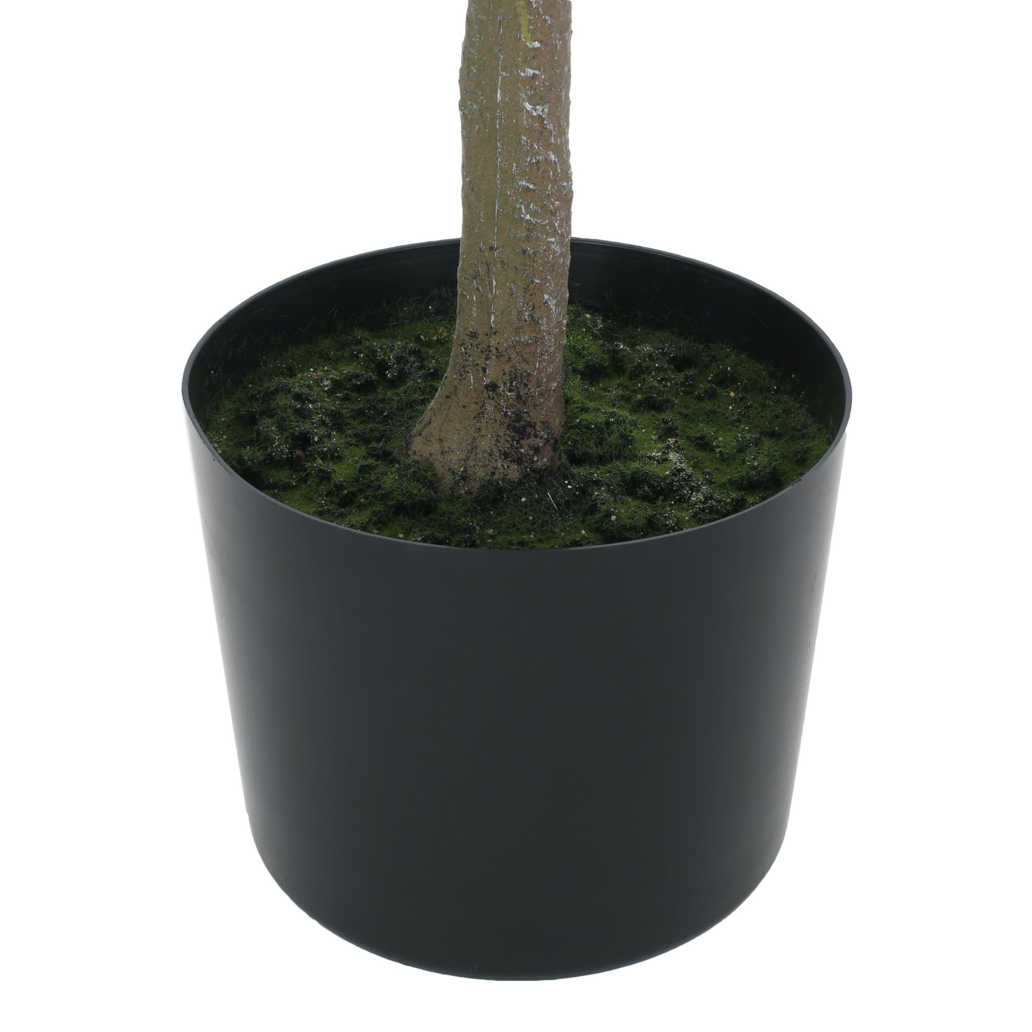Veracity Artificial Milan Leaves Bonsai - Potted Plants