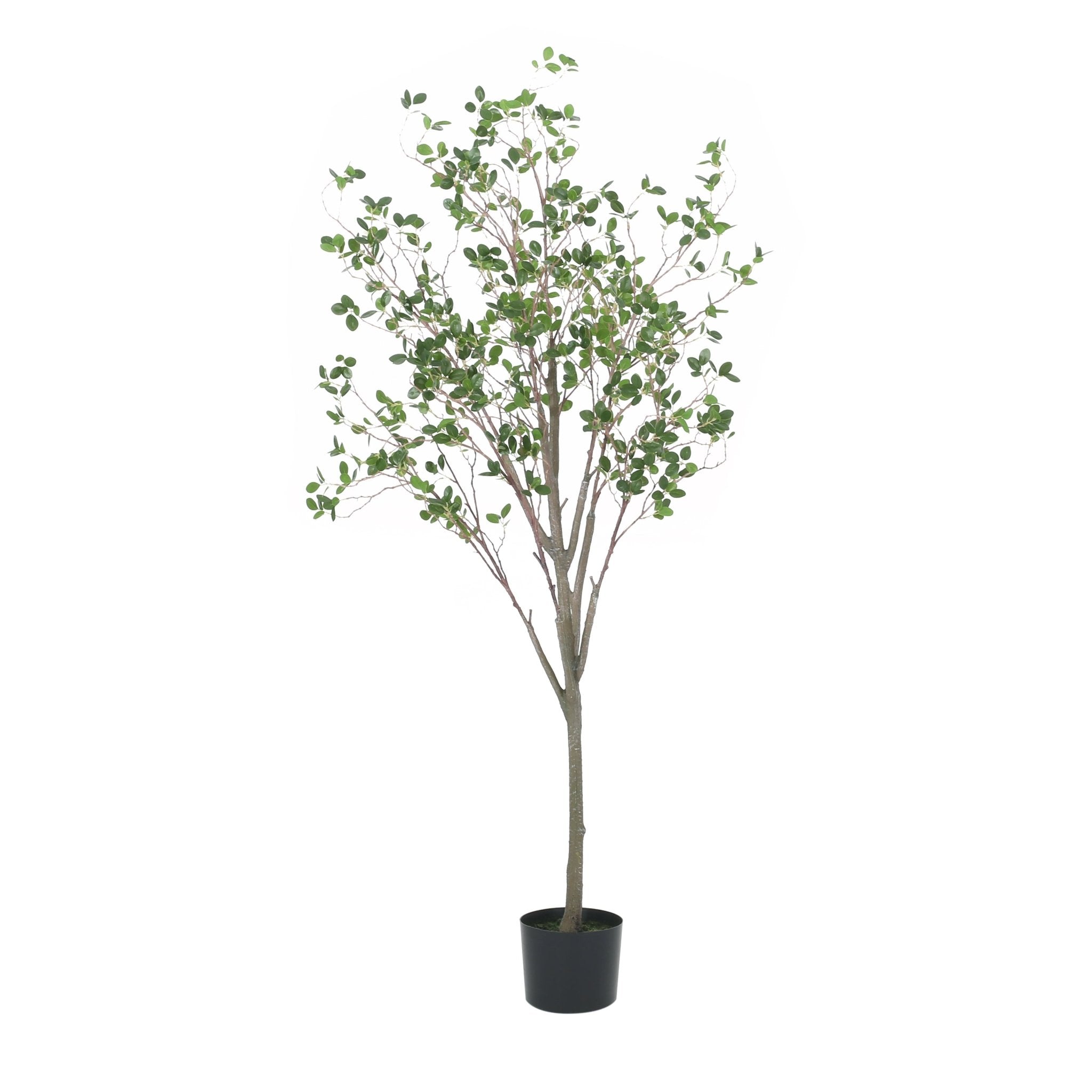 Veracity Artificial Milan Leaves Bonsai - Potted Plants