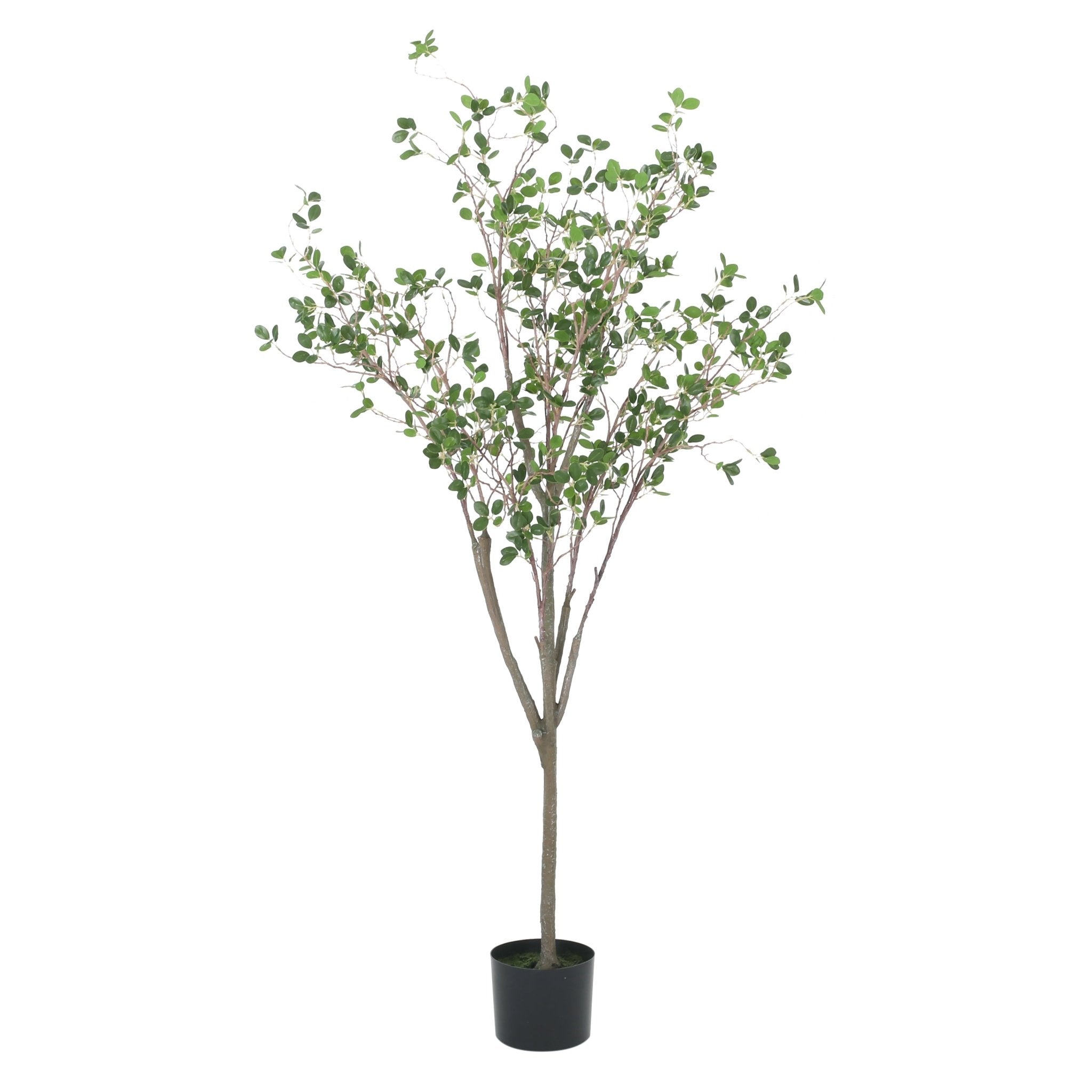 Veracity Artificial Milan Leaves Bonsai - Potted Plants