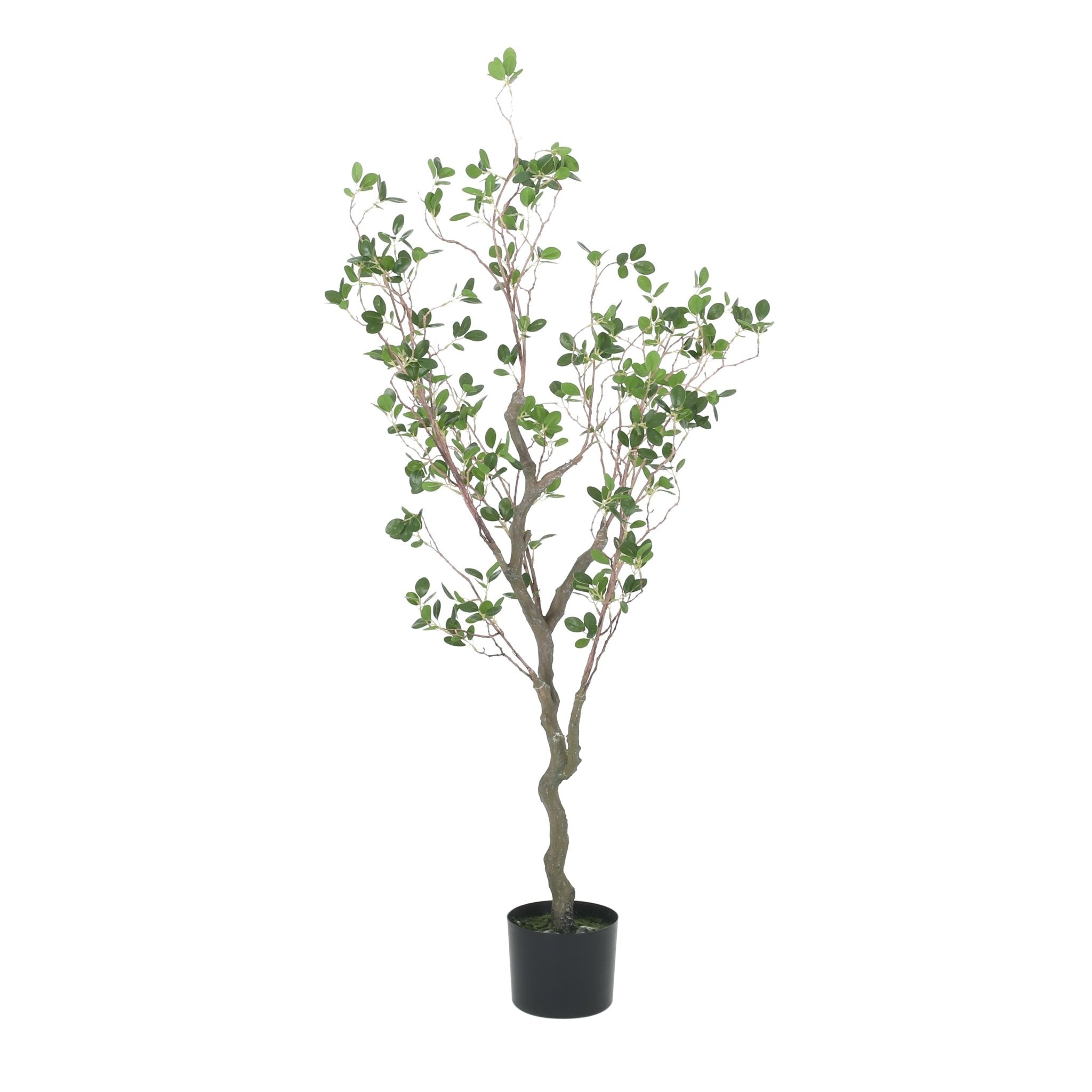 Veracity Artificial Milan Leaves Bonsai - Potted Plants
