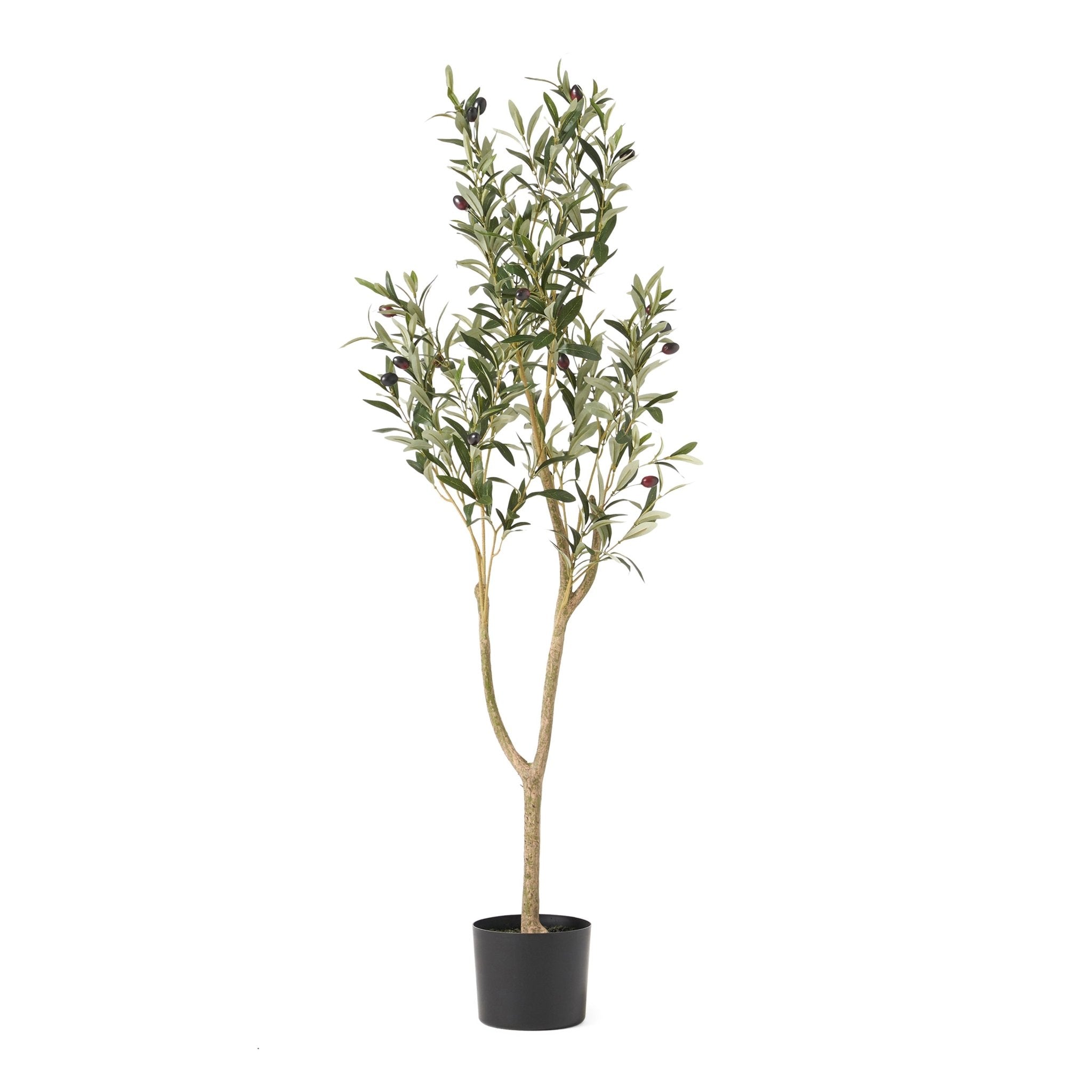 Vortexed Artificial Olive Tree - Potted Trees