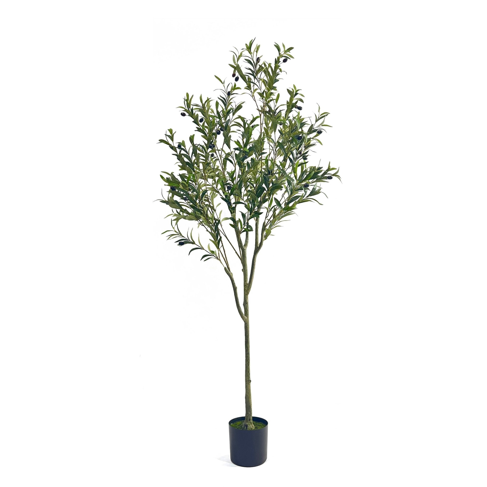 Vortexed Artificial Olive Tree - Potted Trees